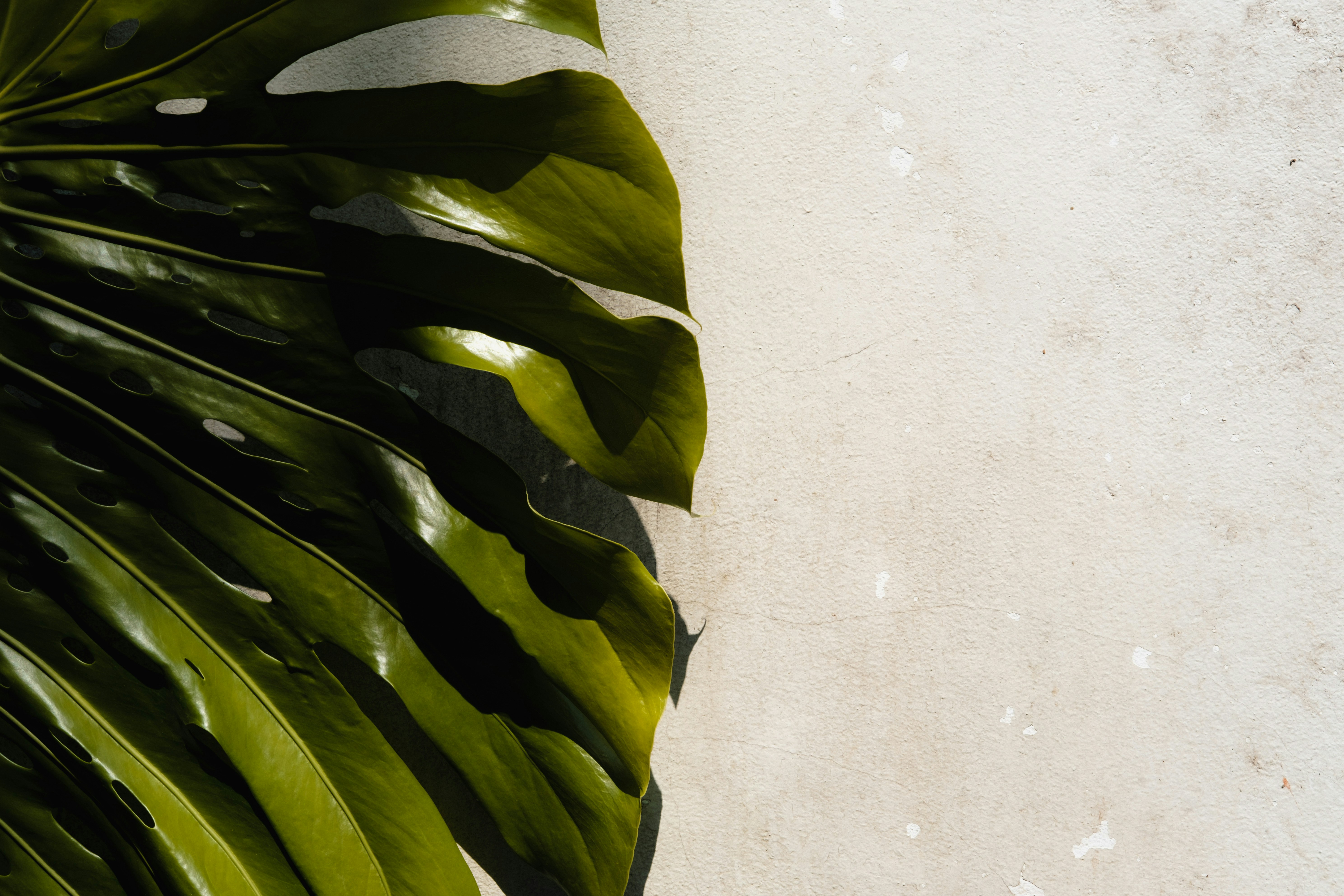 Photo by lloydkearney