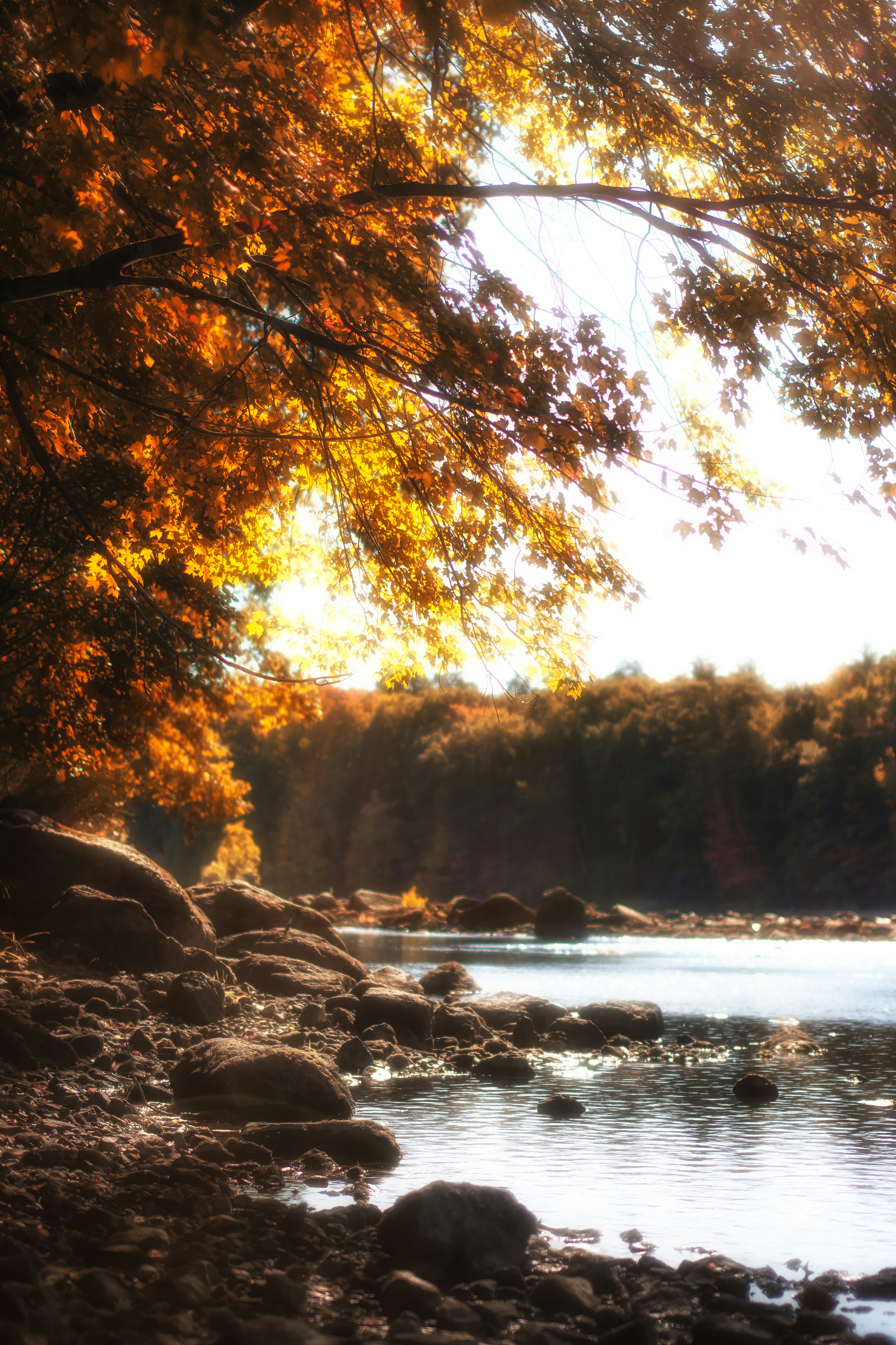 Photo by nh_landscapes