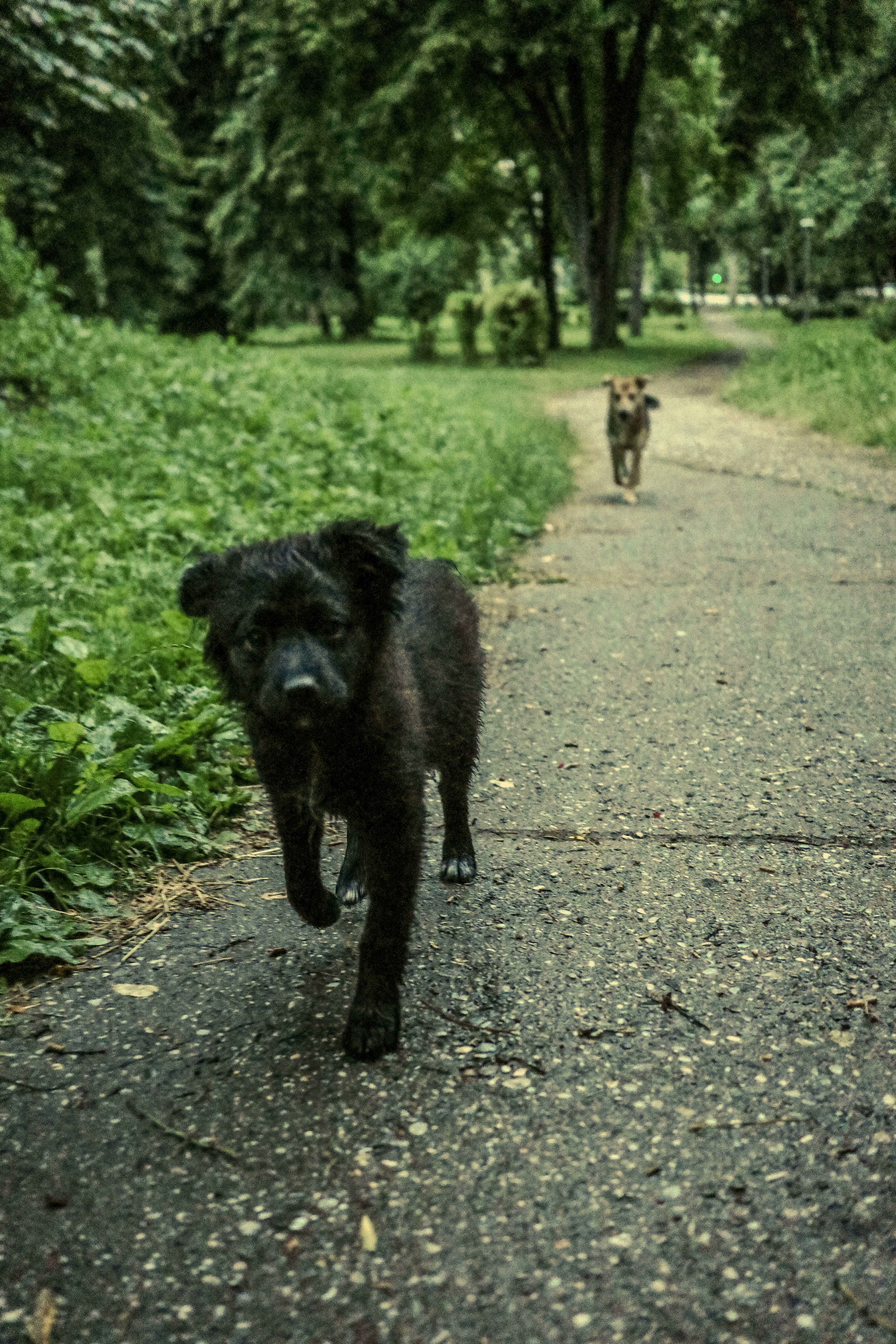 Photo by dmitrii_filatov