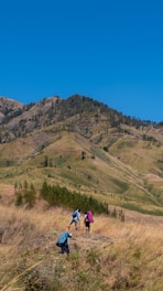 A group of people hiking up a hill