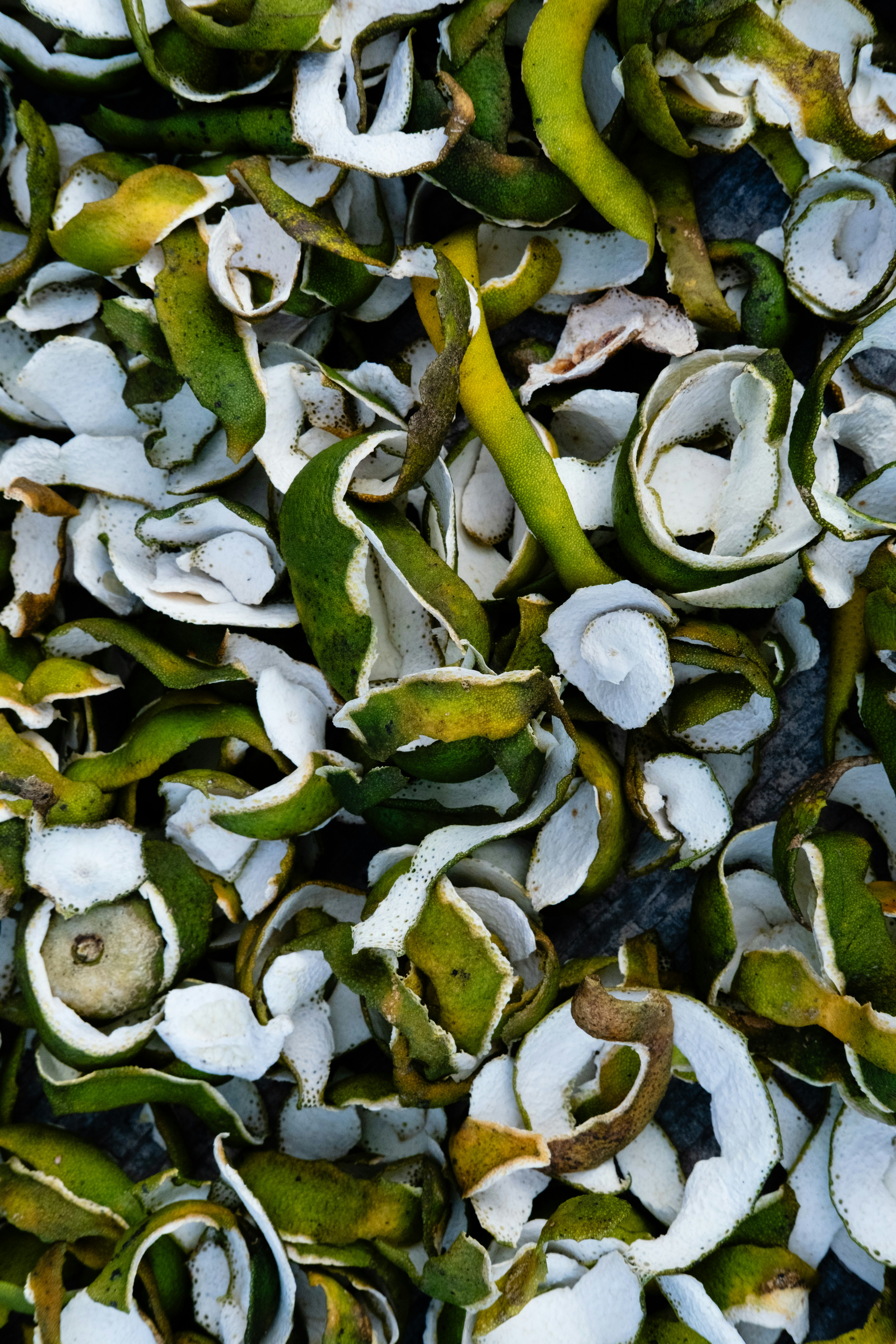 Photo by lloydkearney