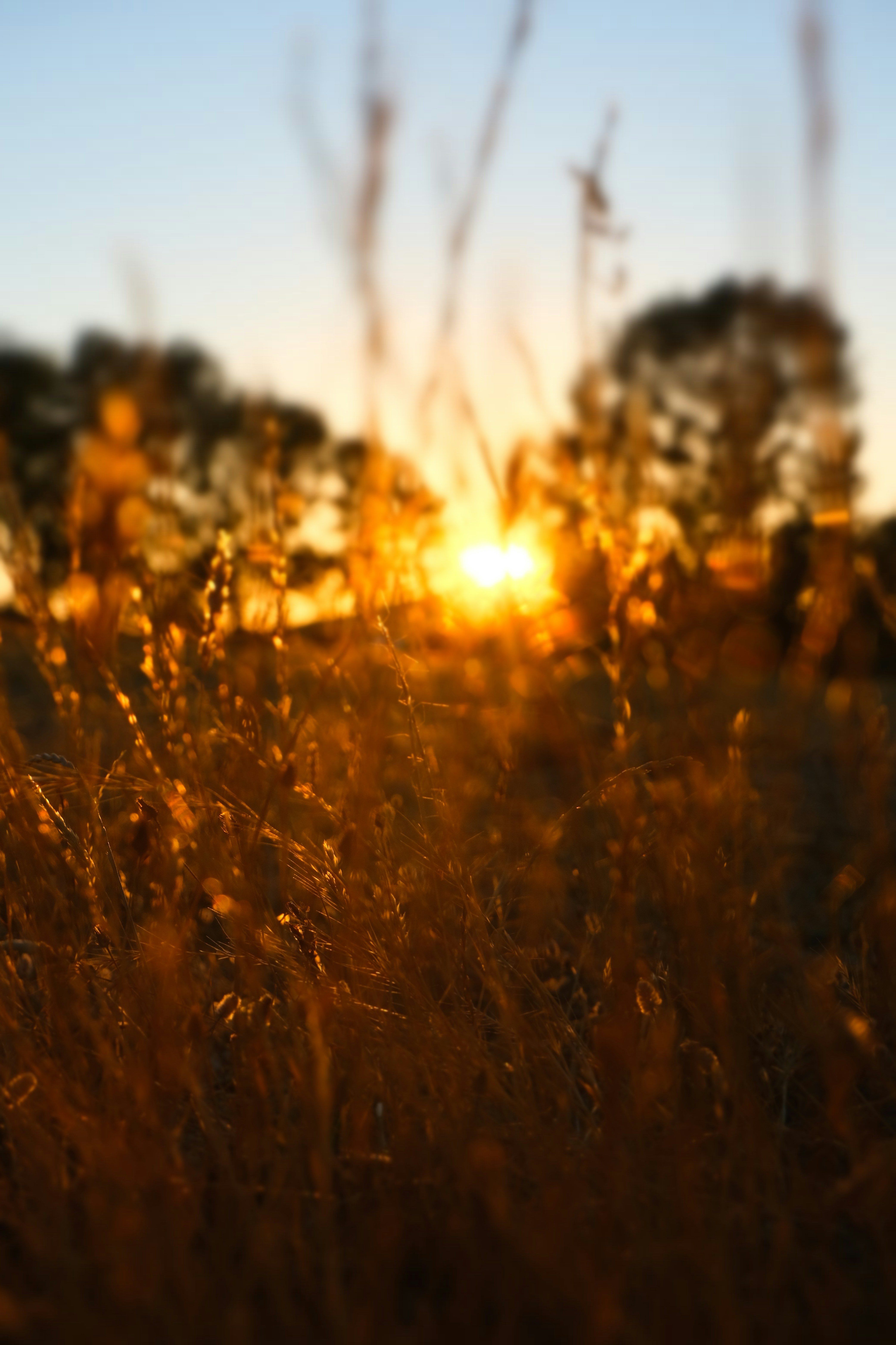 Photo by inthemoodforphotograph