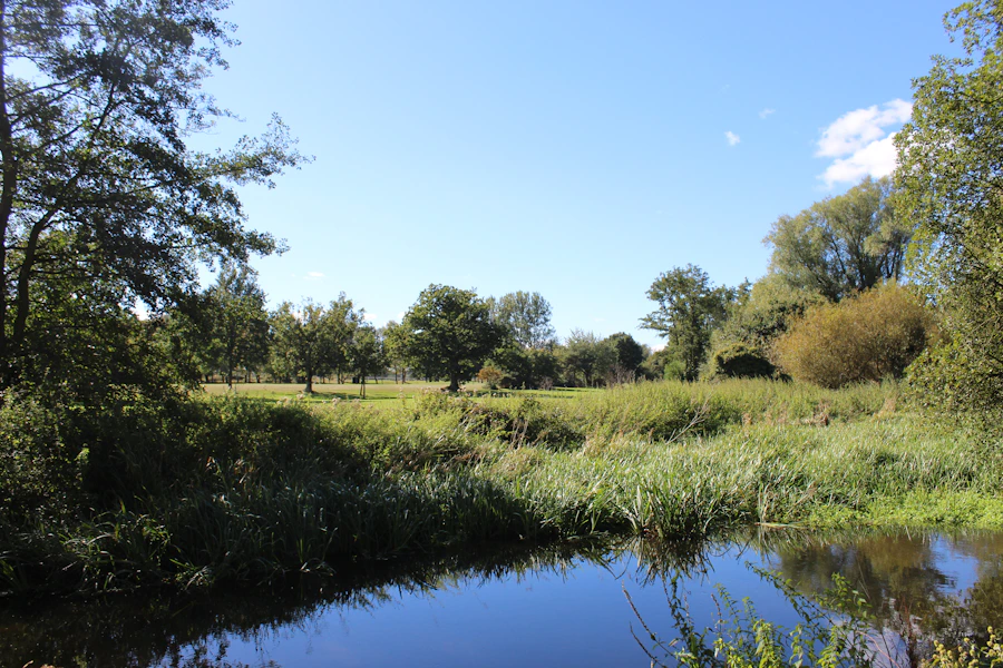 River corridor running through wooded valley