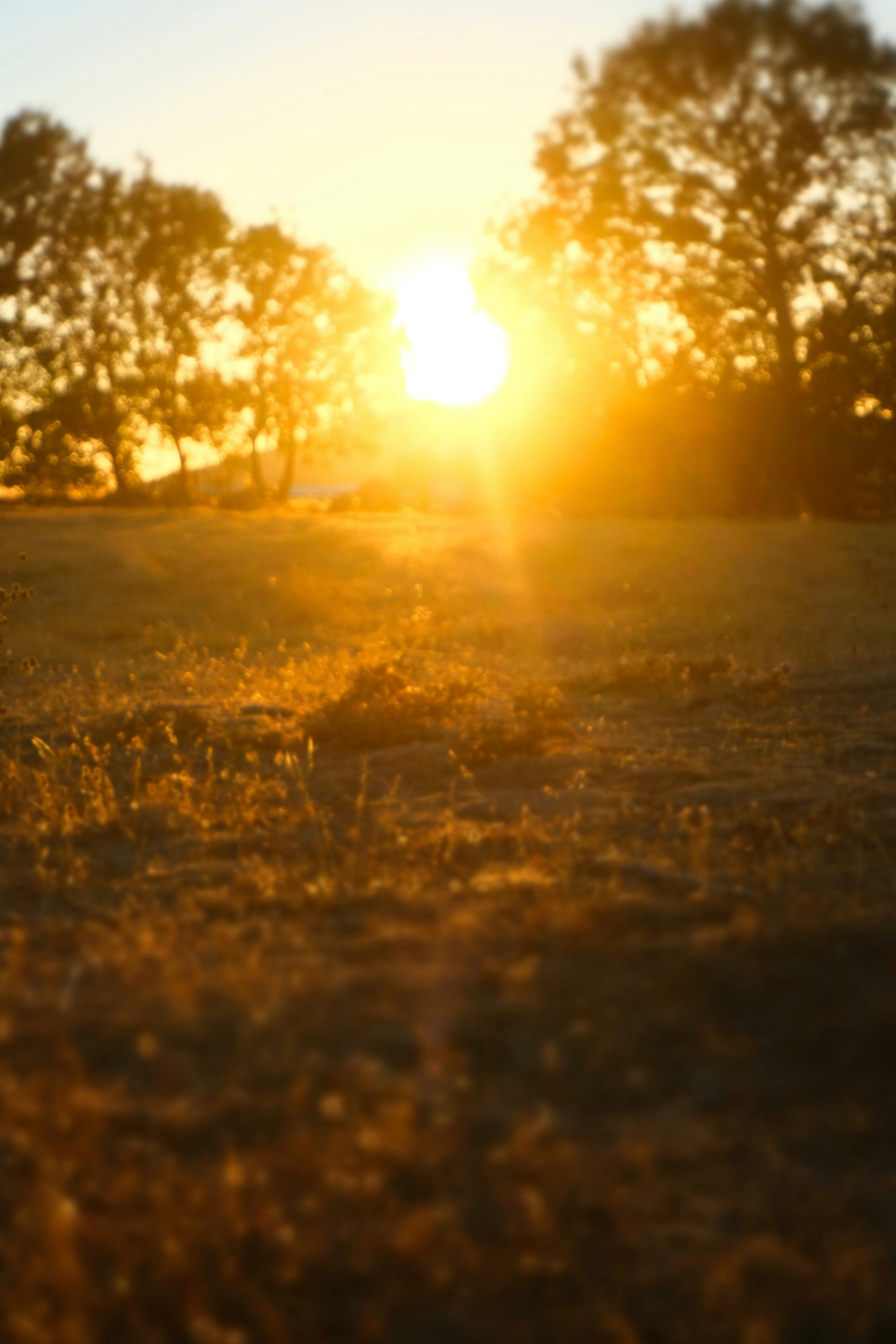 Photo by inthemoodforphotograph