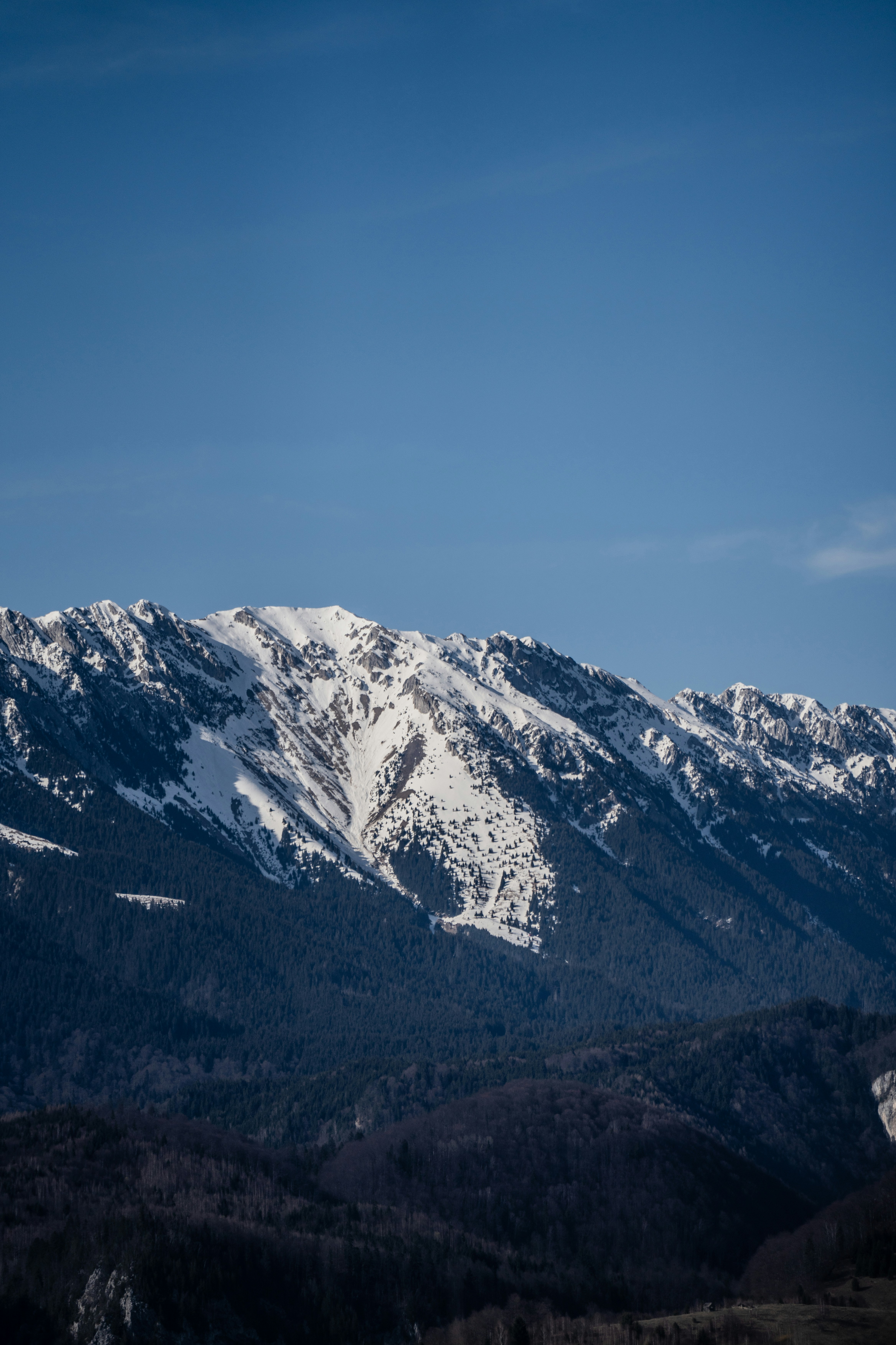 Photo by winstontjia