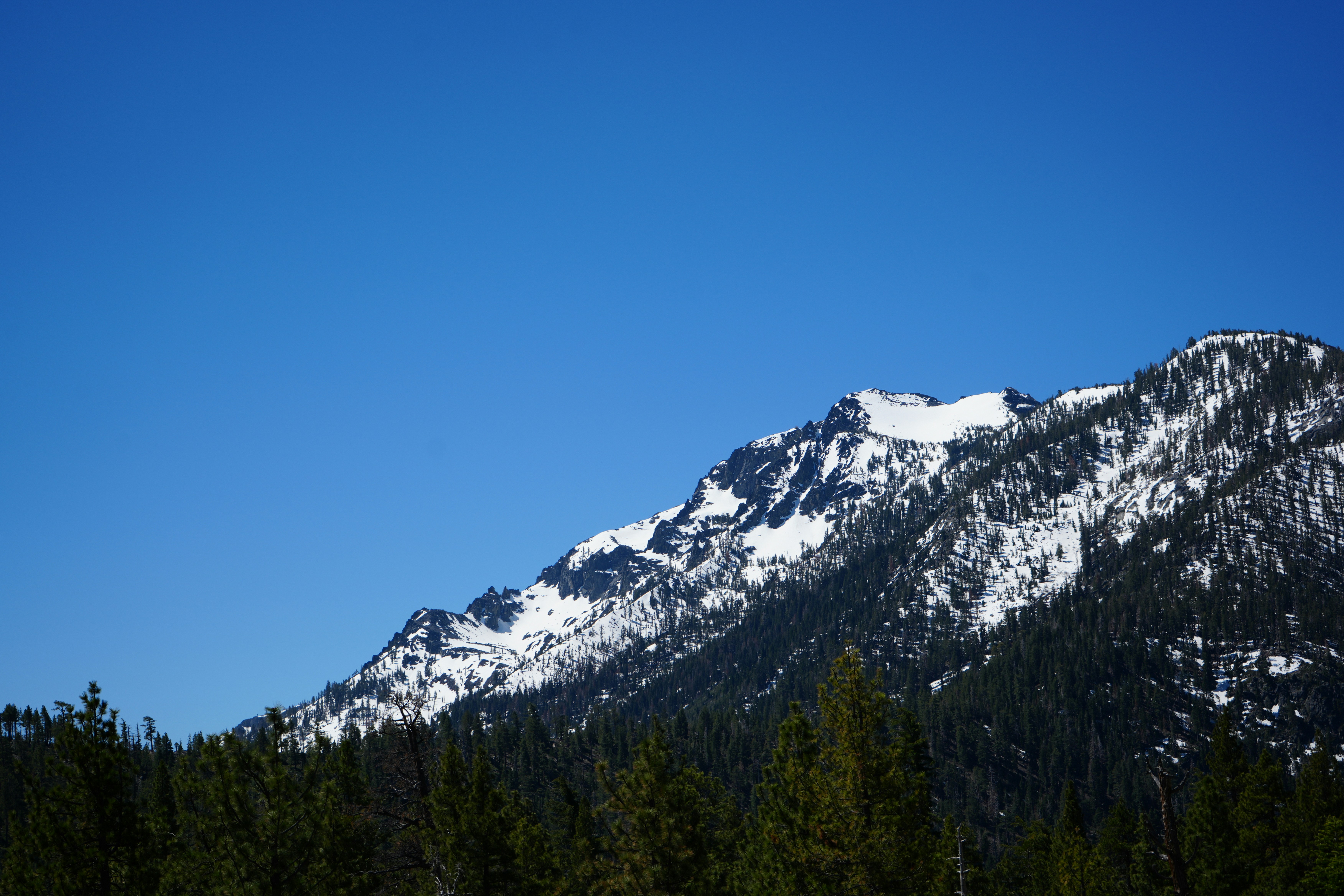 Snow-covered Lake Tahoe home surrounded by pine trees, highlighting winter real estate opportunities with a focus on homes for sale in the area.