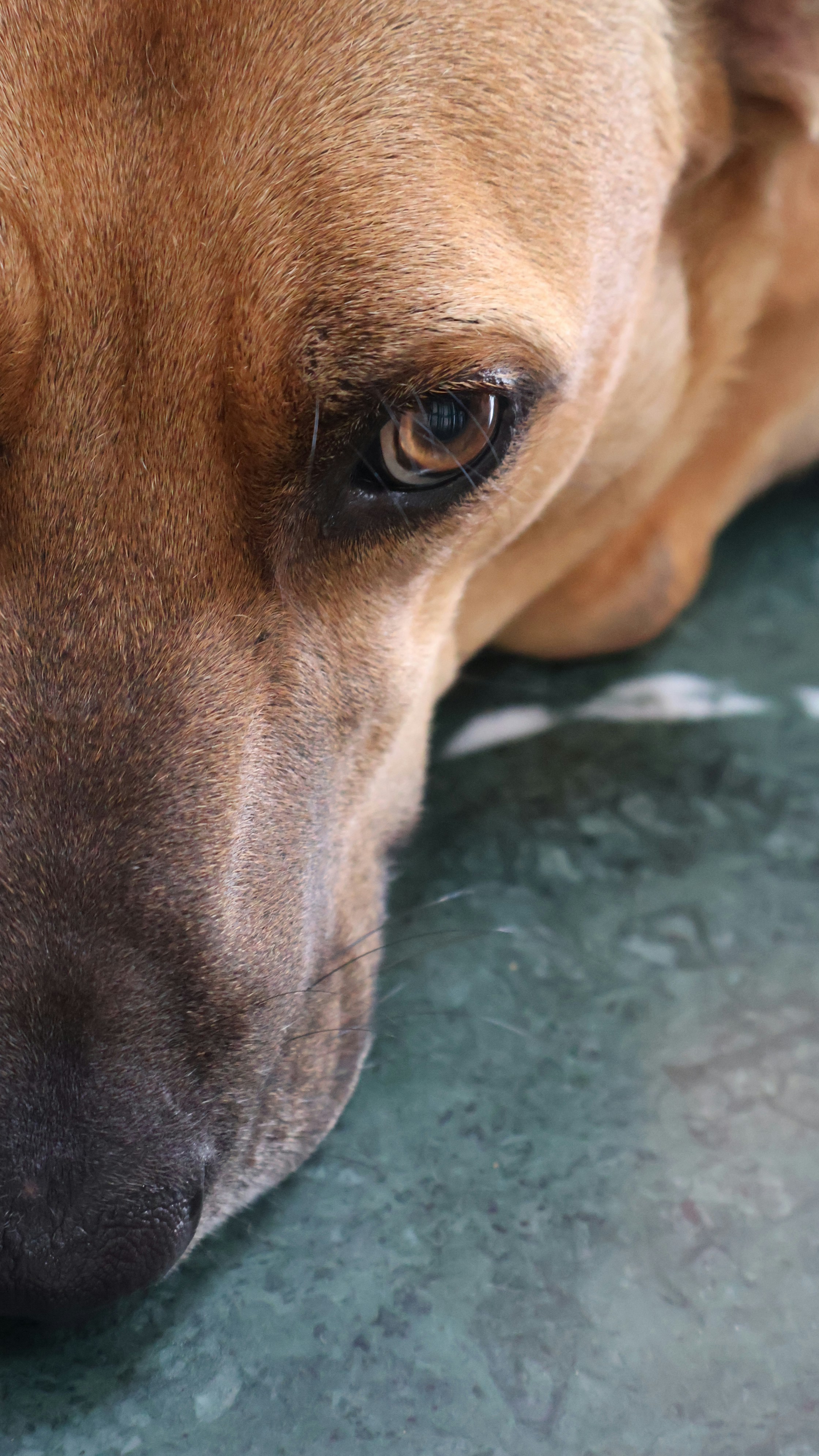 Photo by parichha_rashni