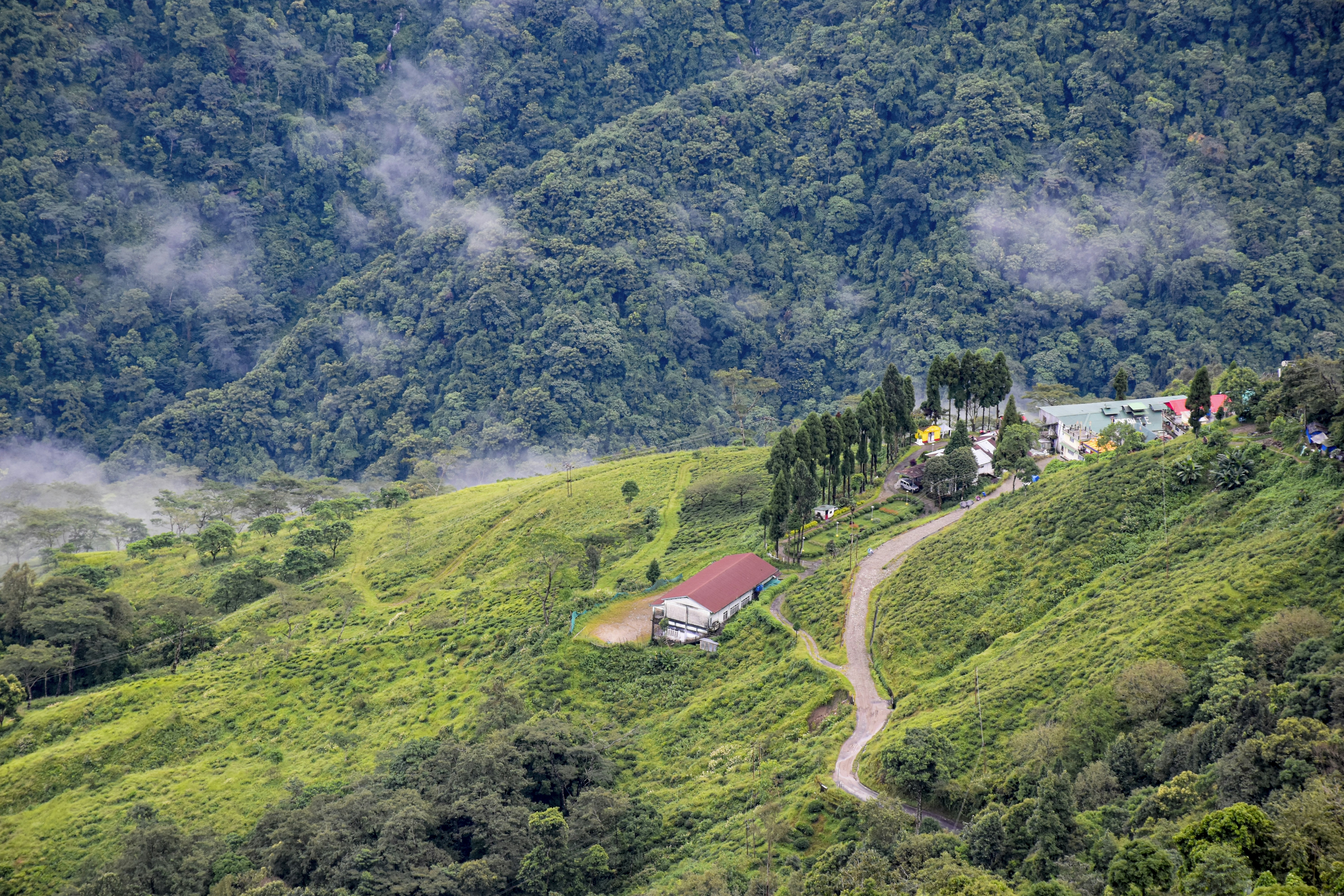 A lush green hillside with a house on top of it