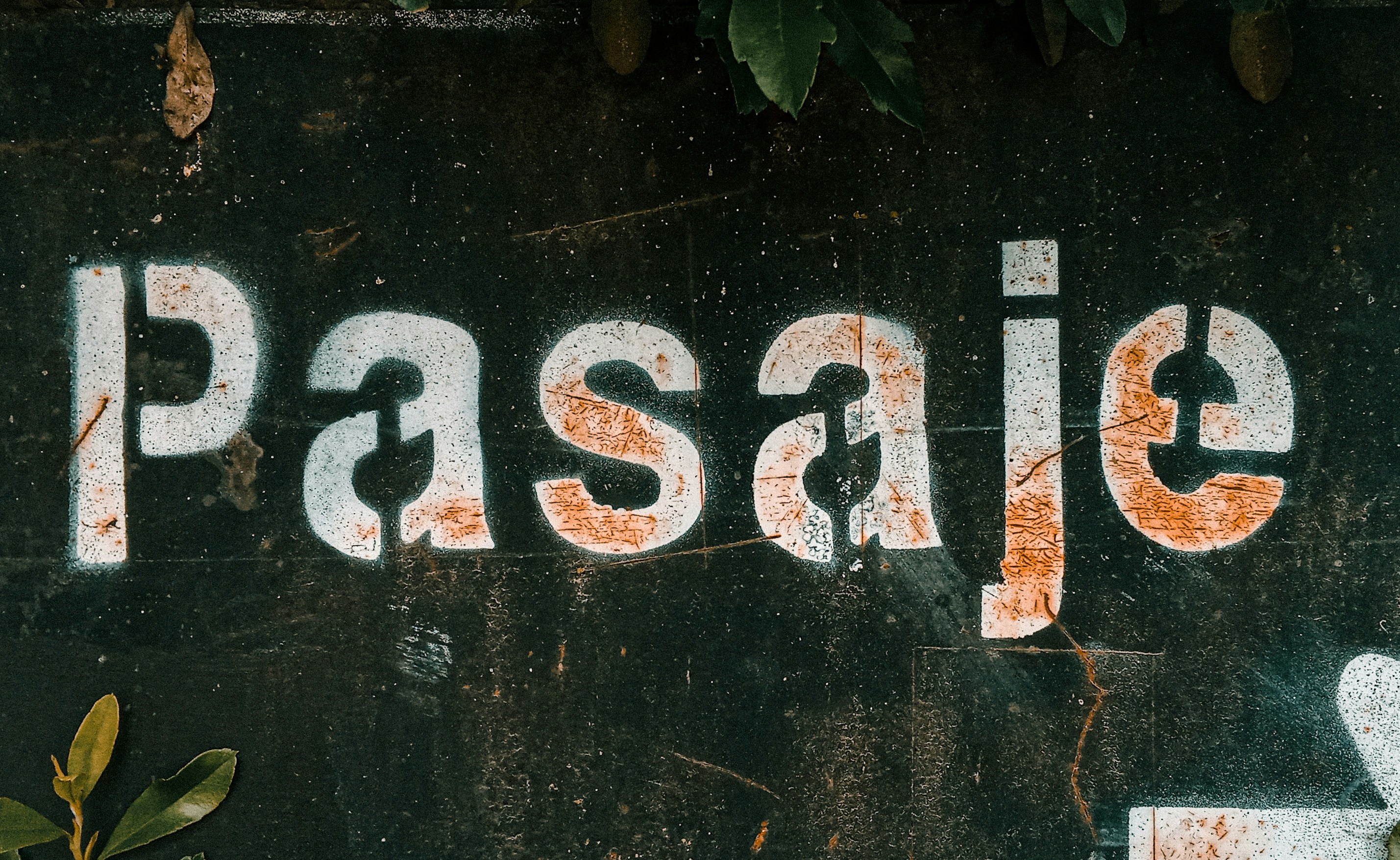 A sign that says passie on it