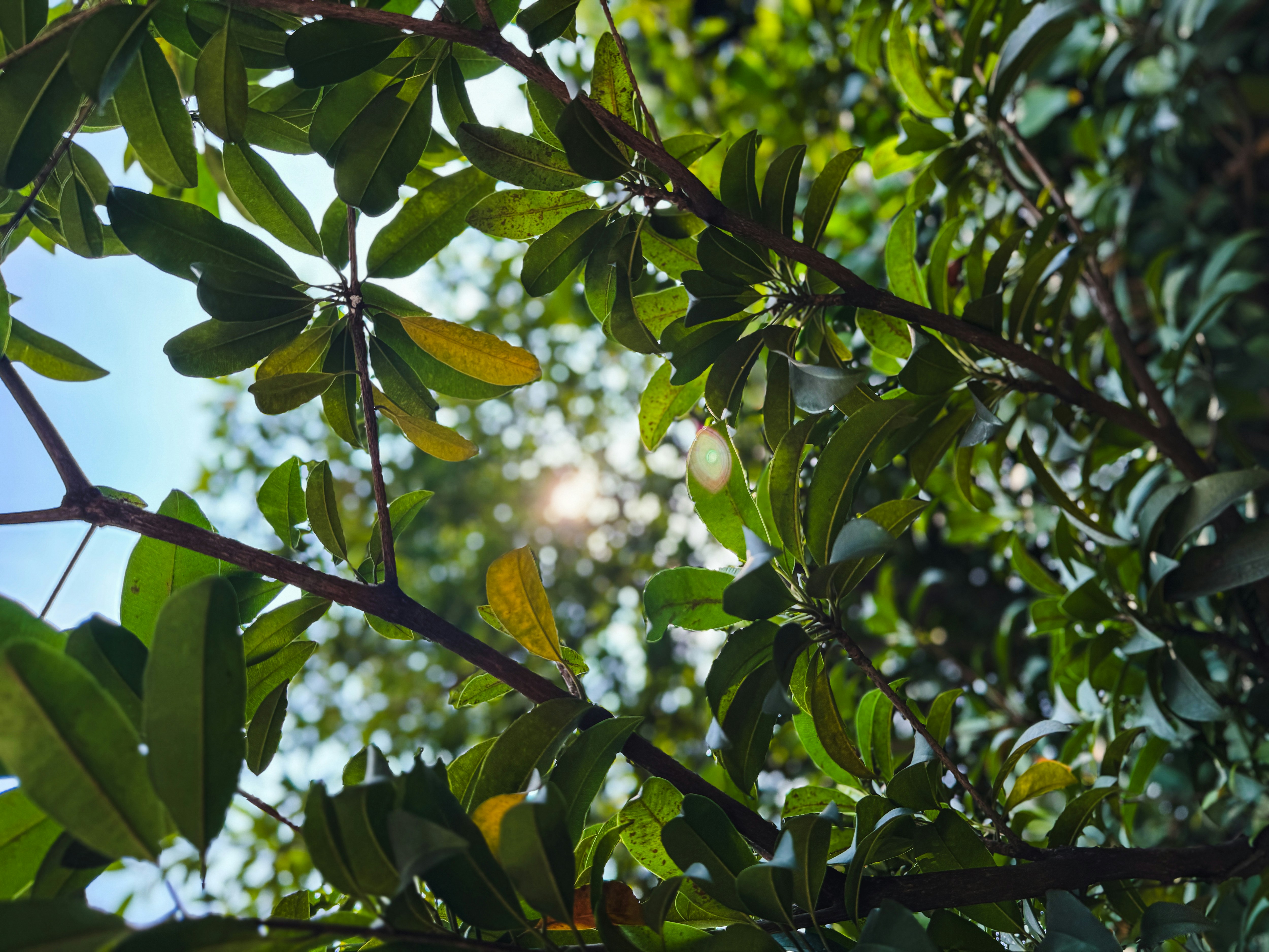 Photo by michaelmeths