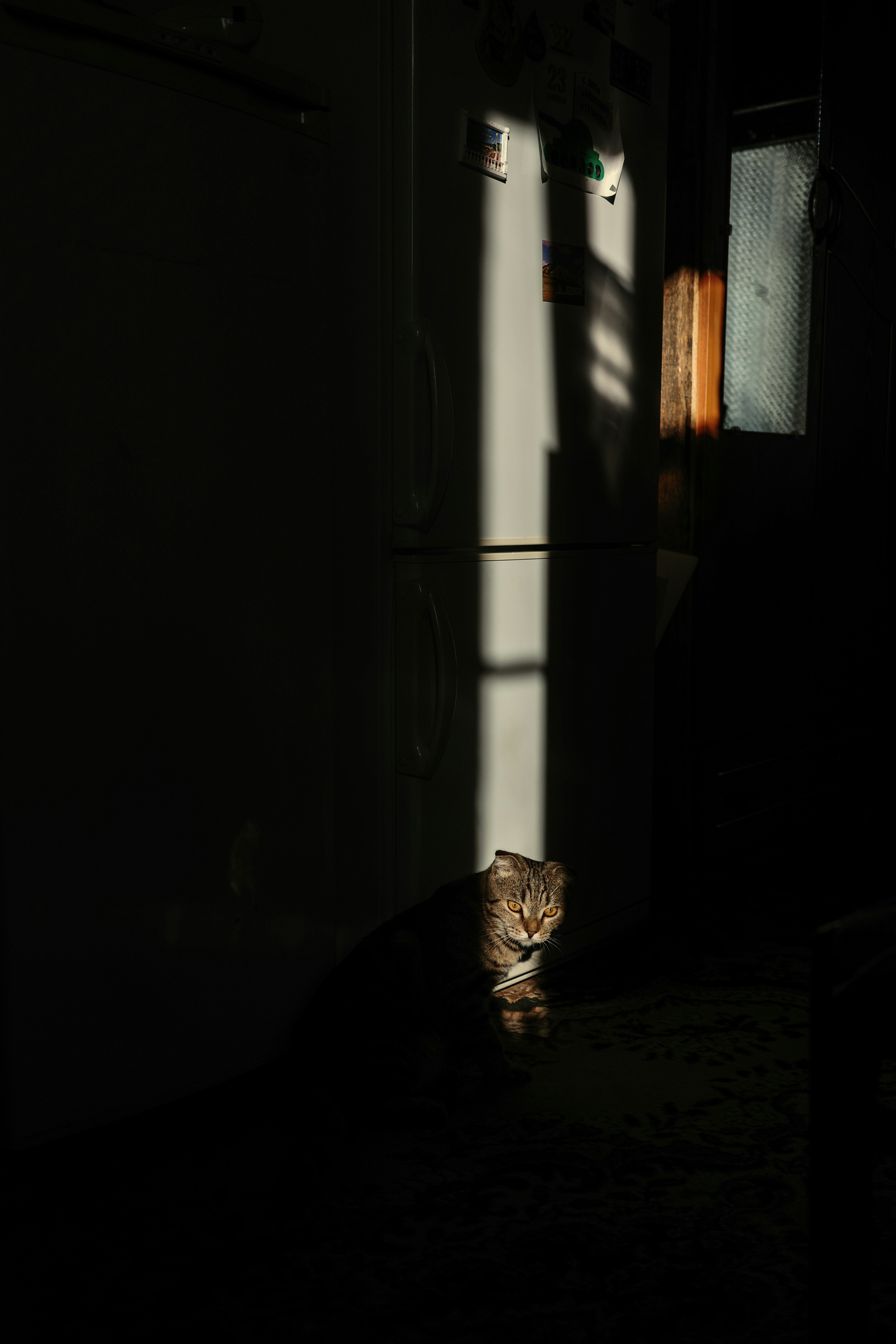 Photo by dmitrii_filatov