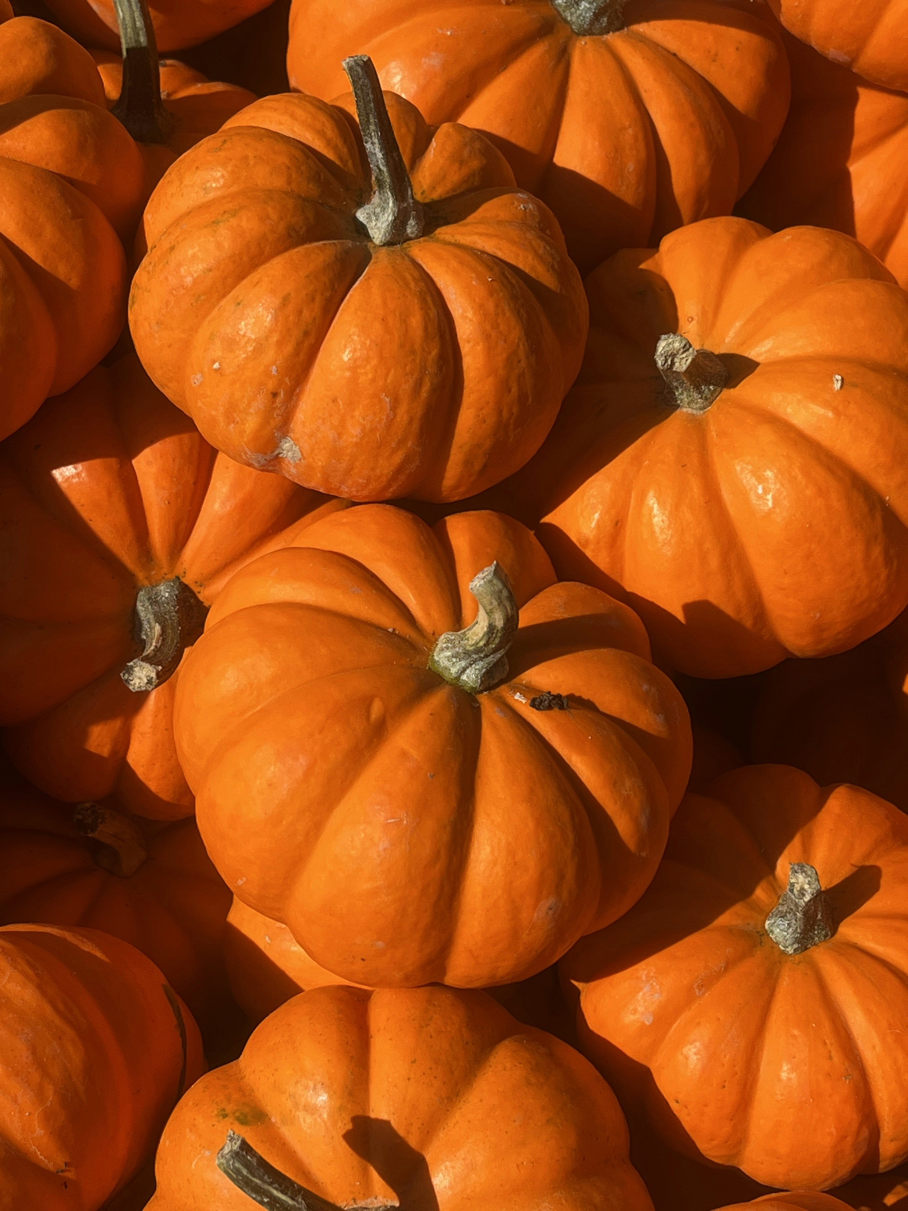 Photo by jeannette_de_beauvoir