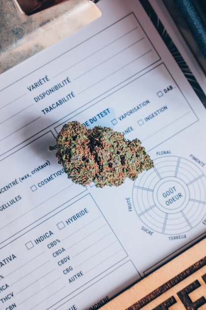 Cannabis Reclassification 2026: AKAN +34%, Federal Schedule Change Finally Happening — What It Means for Stocks and Legalization