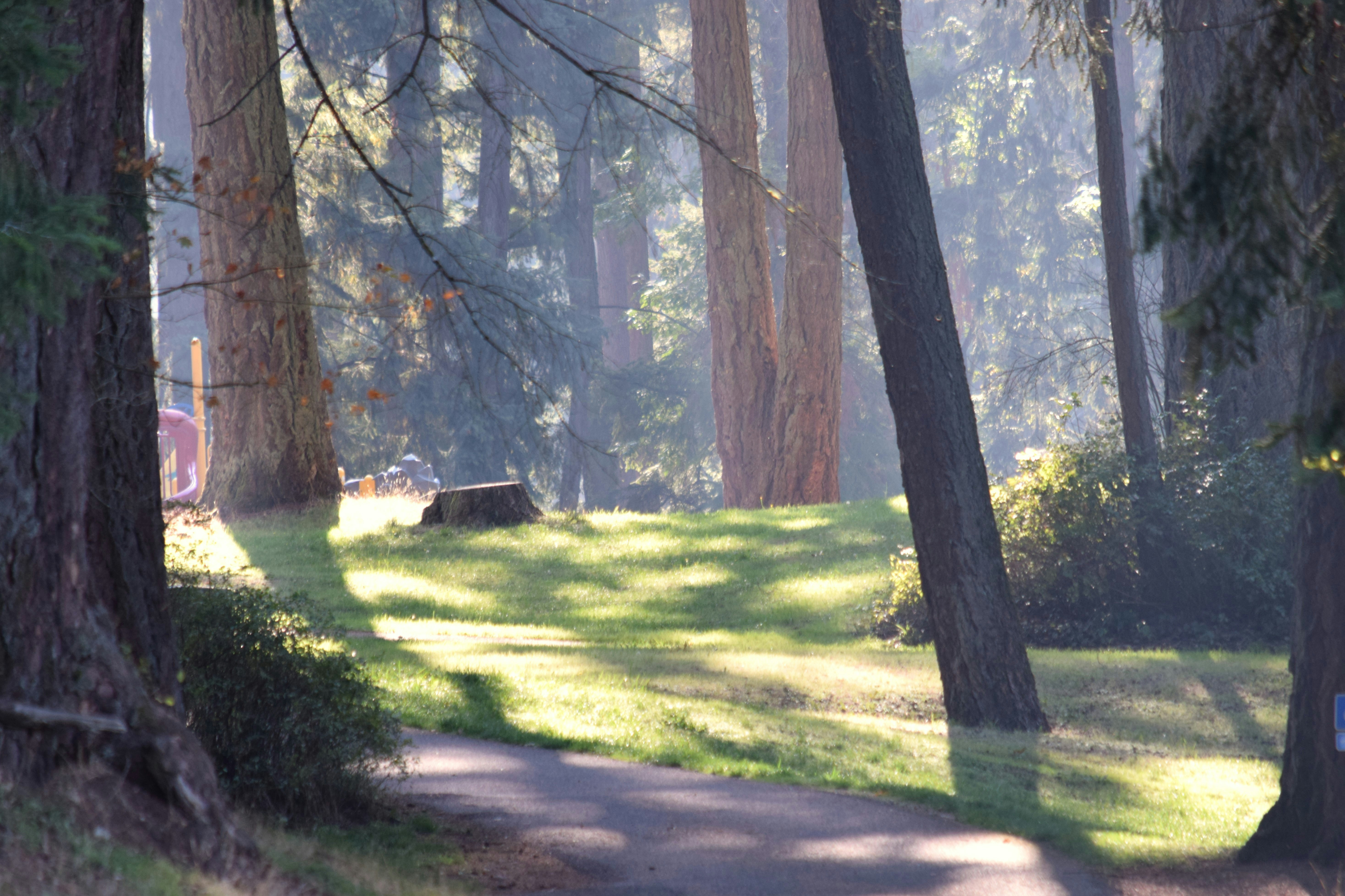 Suburban Park