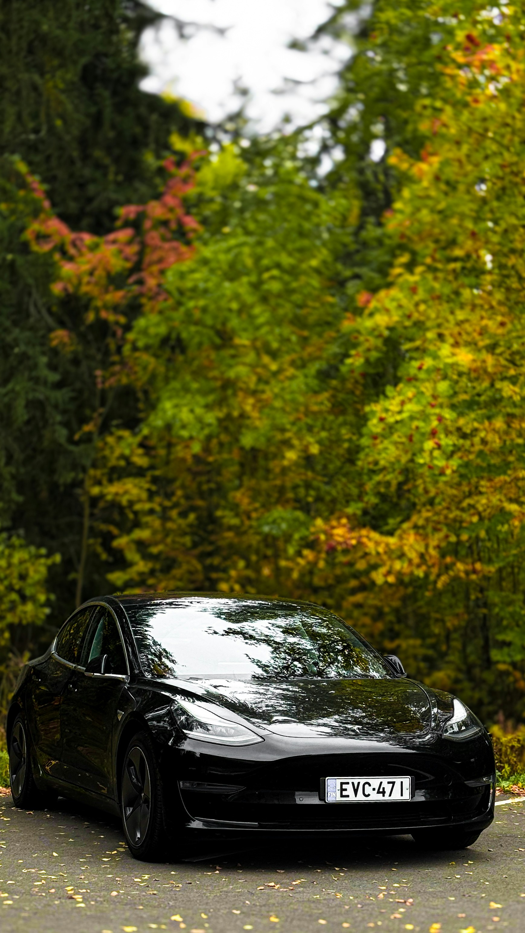 Photo by nikko_khorrami