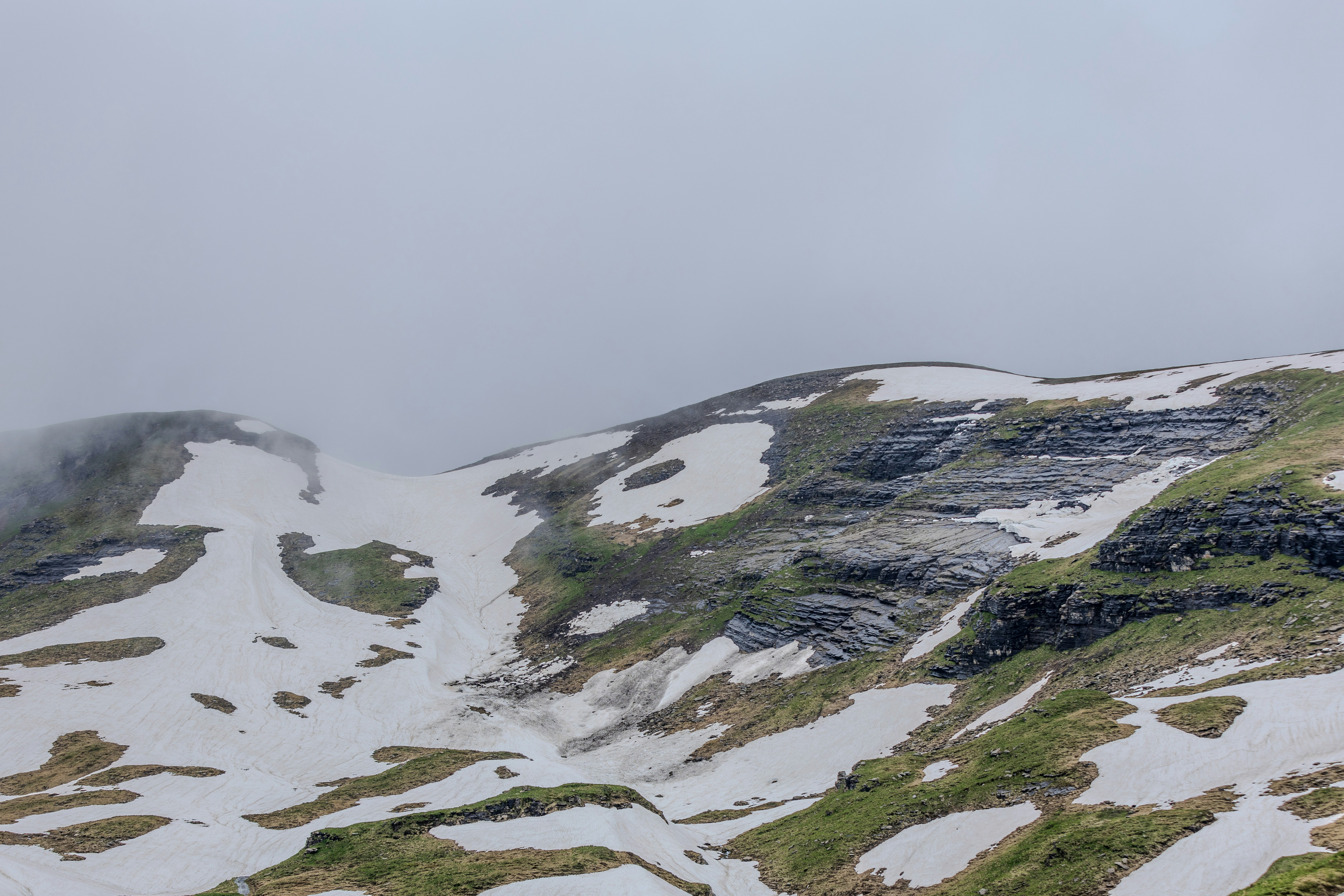 A mountain covered in snow with a bird flying over it