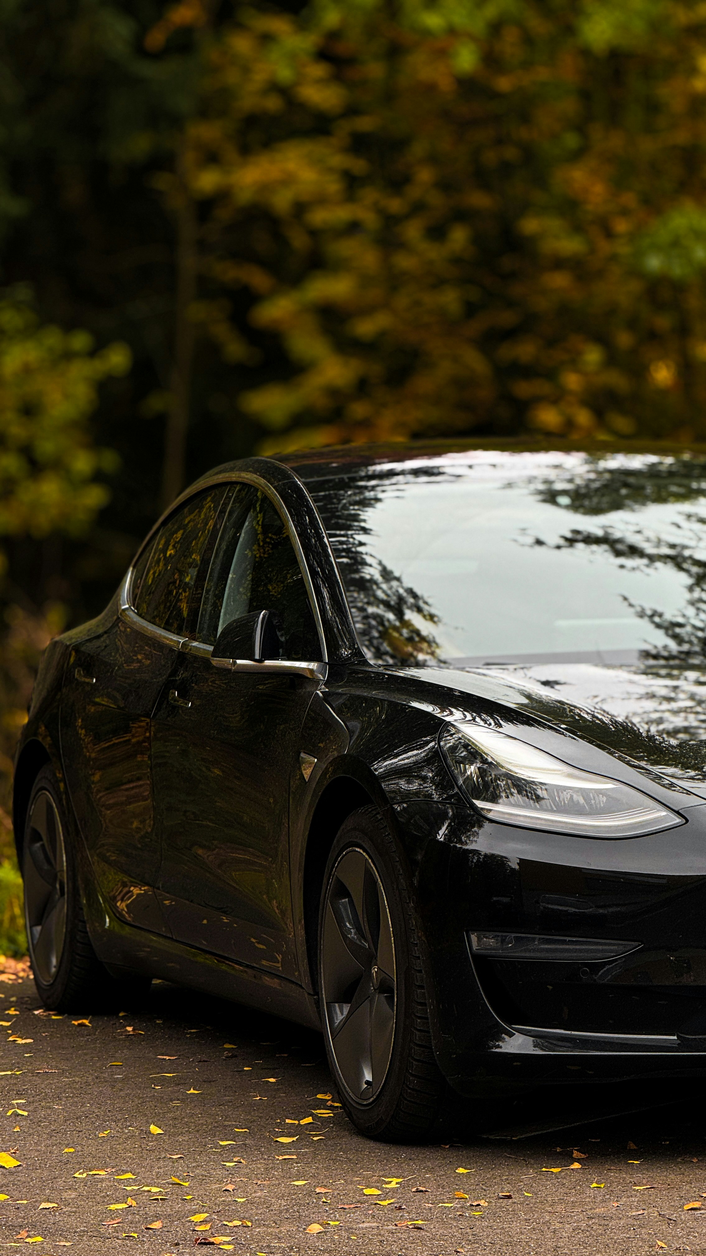 Photo by nikko_khorrami