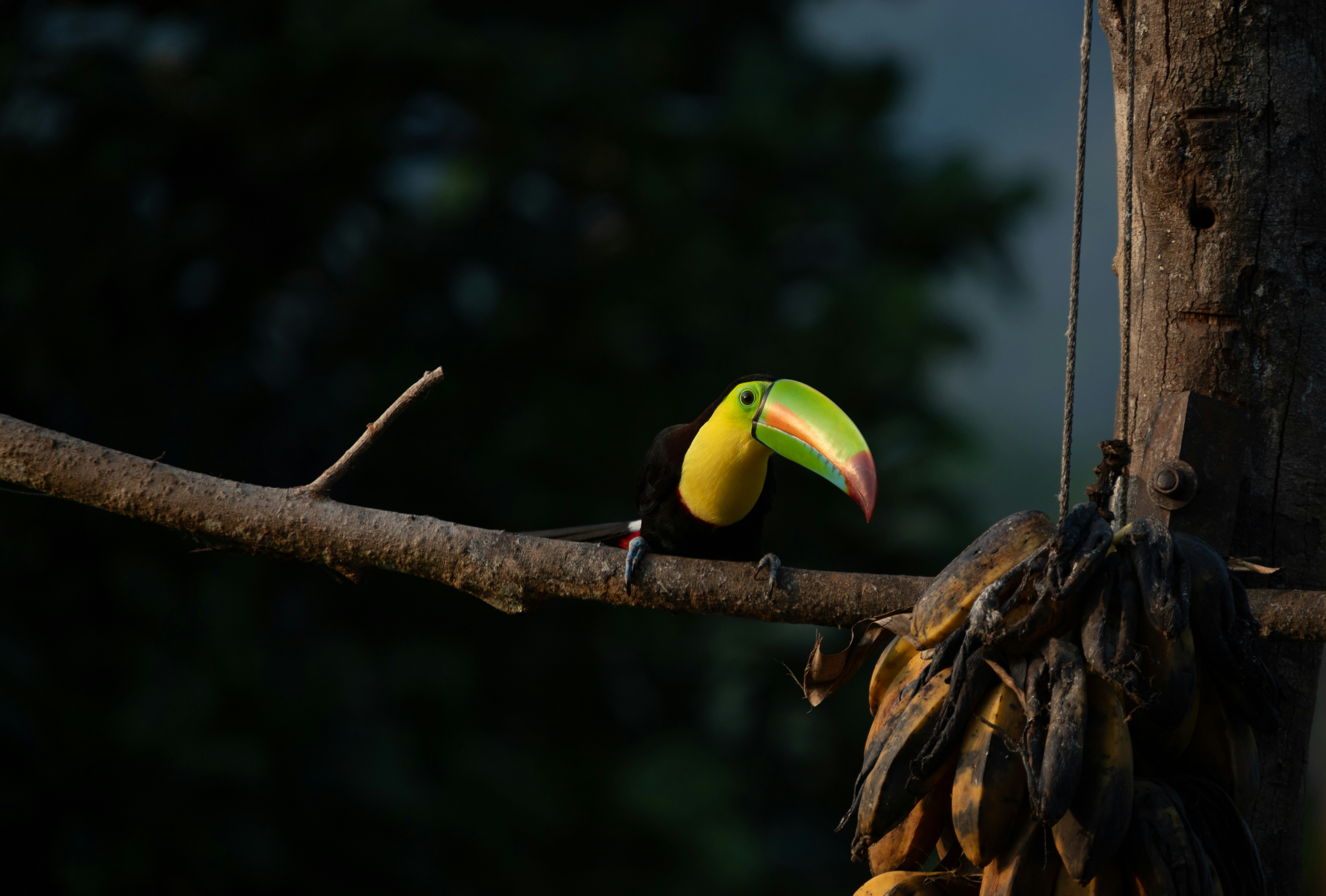 Photo by hdbernd