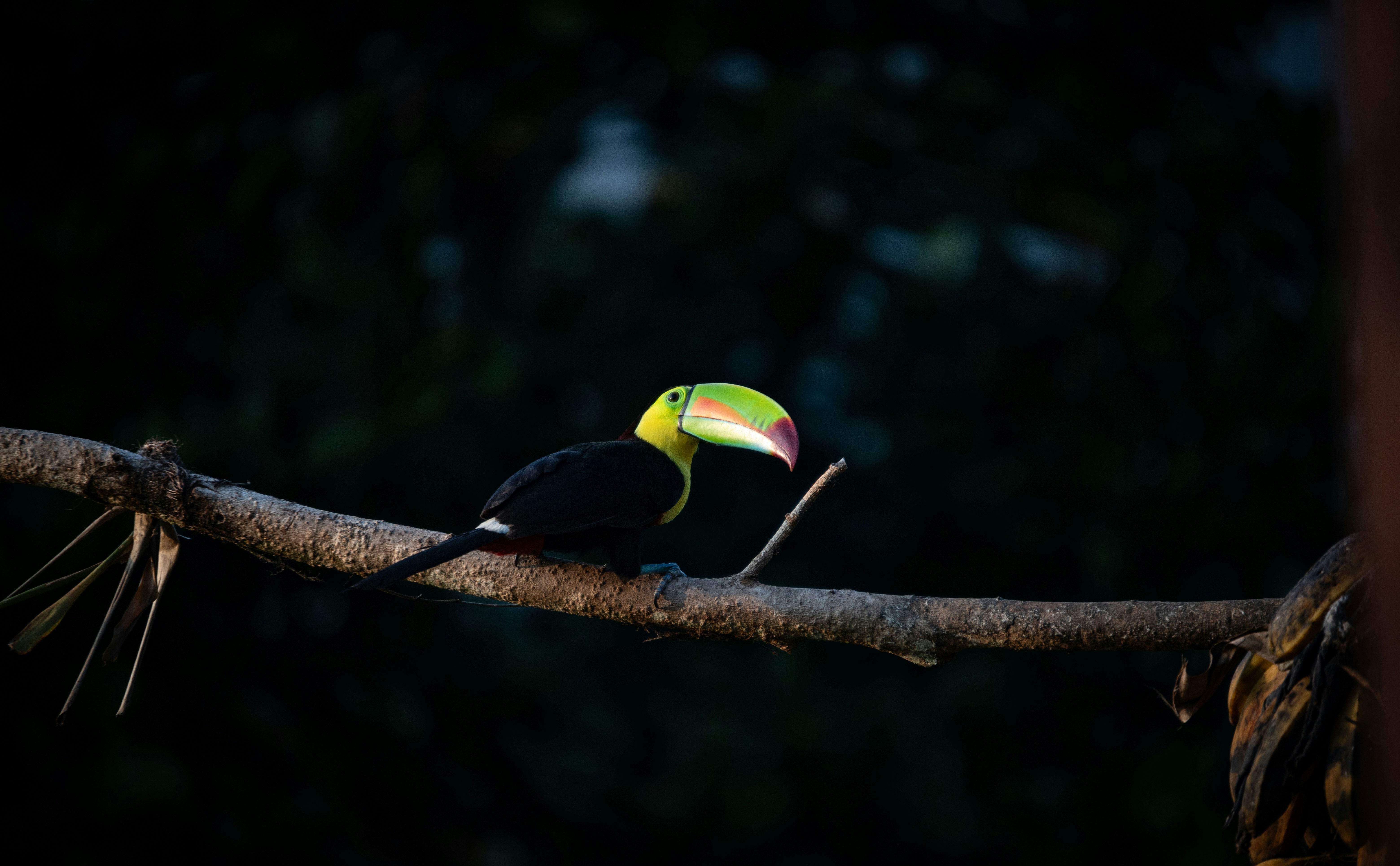 Photo by hdbernd
