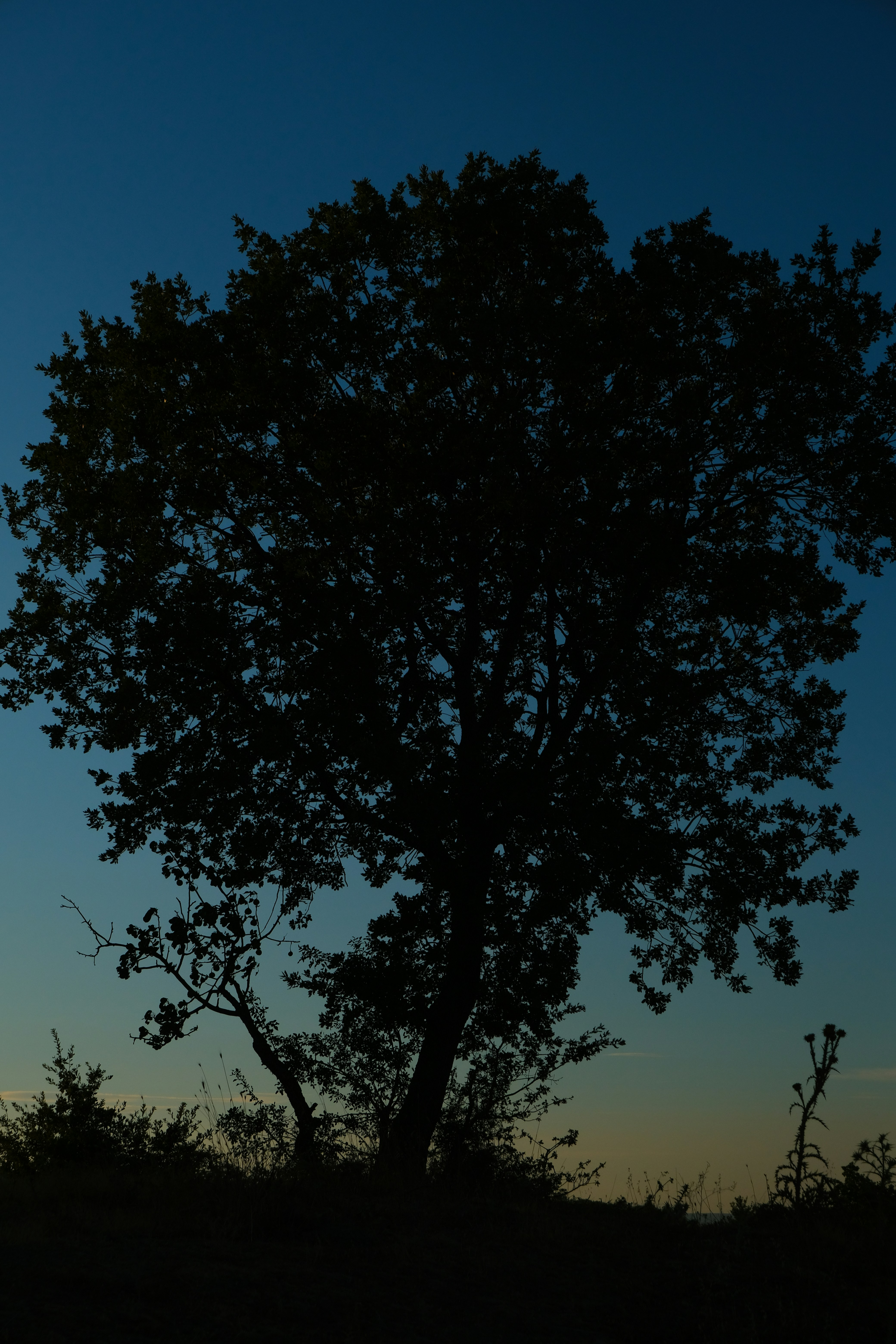 Photo by inthemoodforphotograph