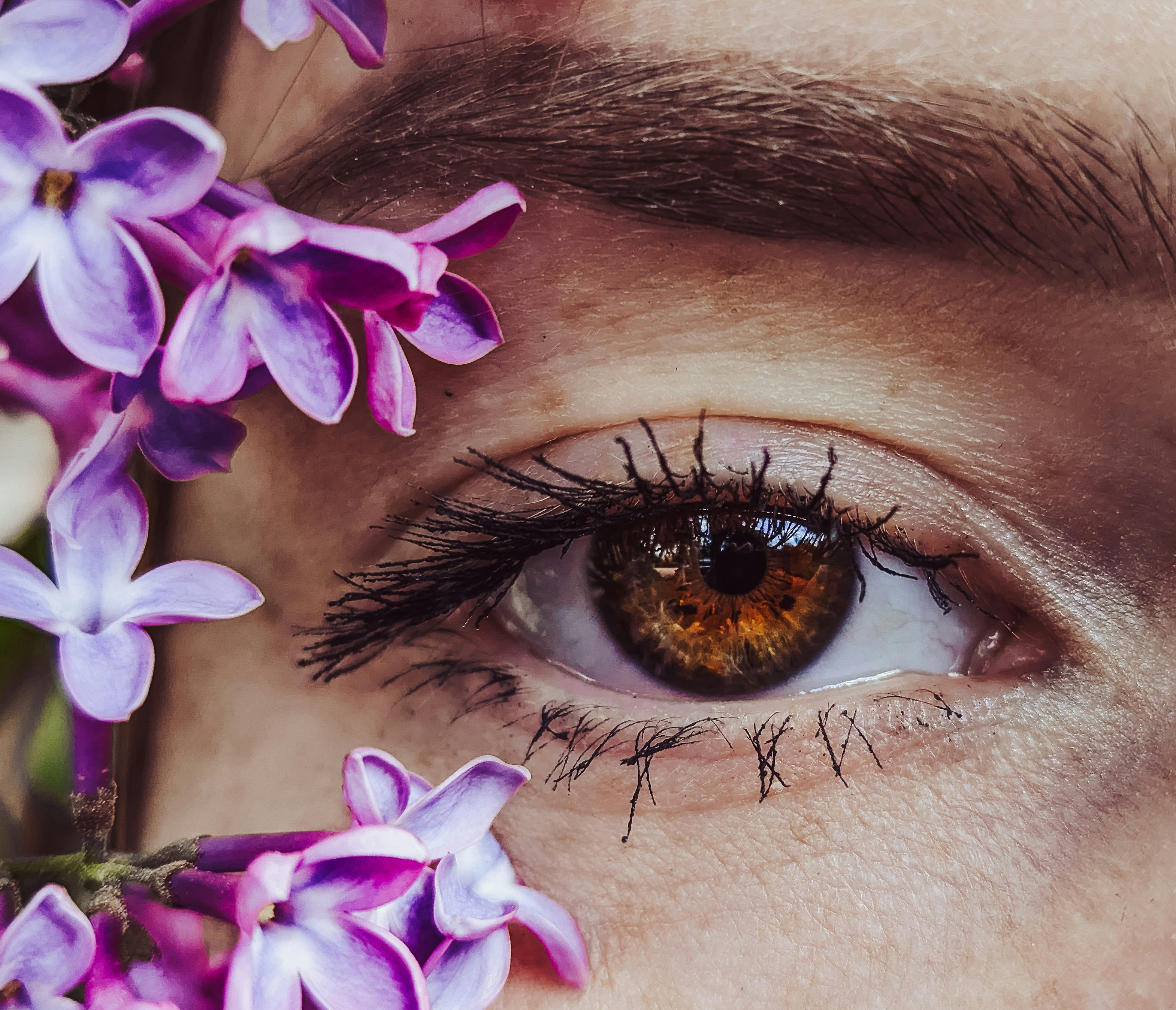 A close up of a person's eye and purple flowers