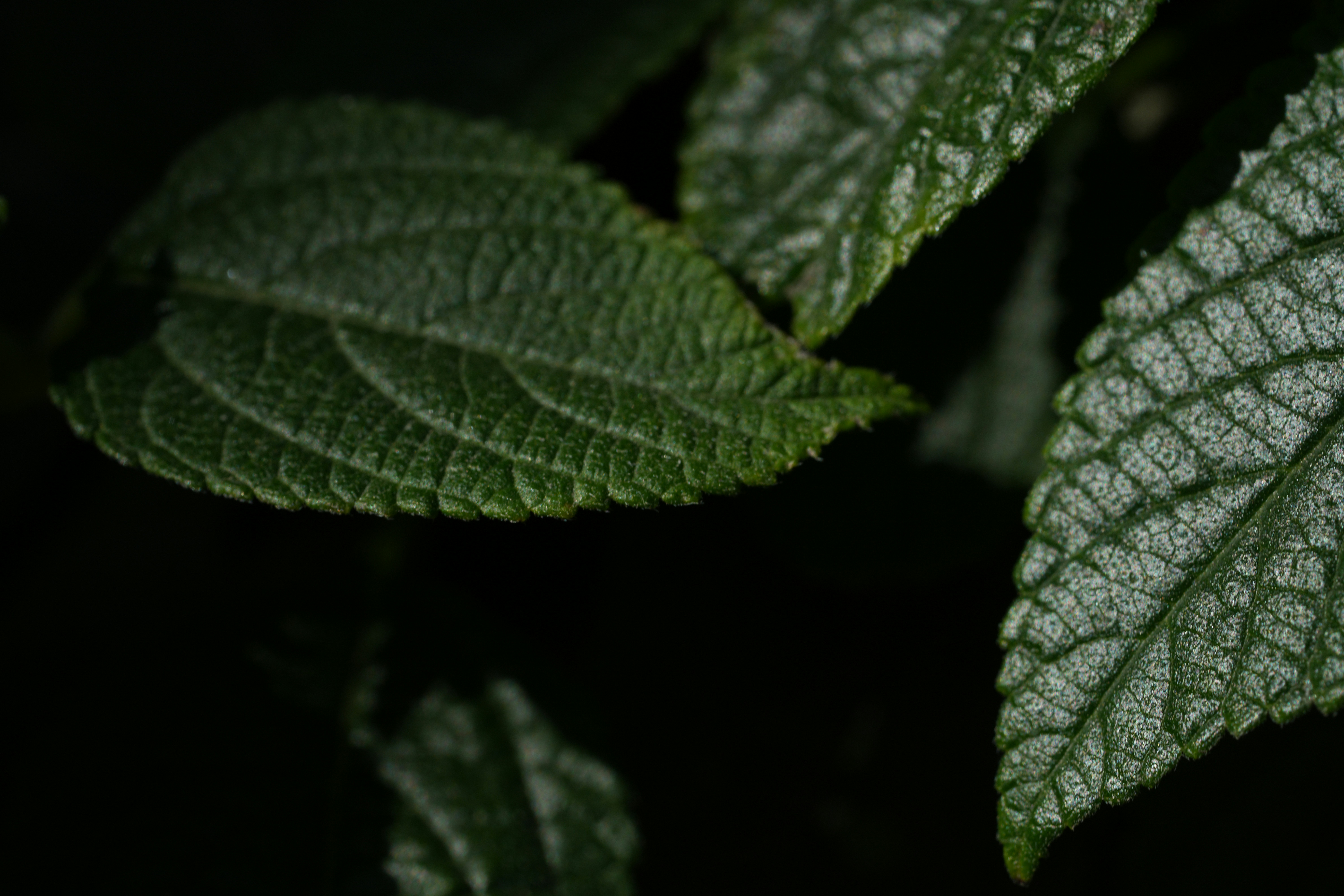 Photo by iandotphotos