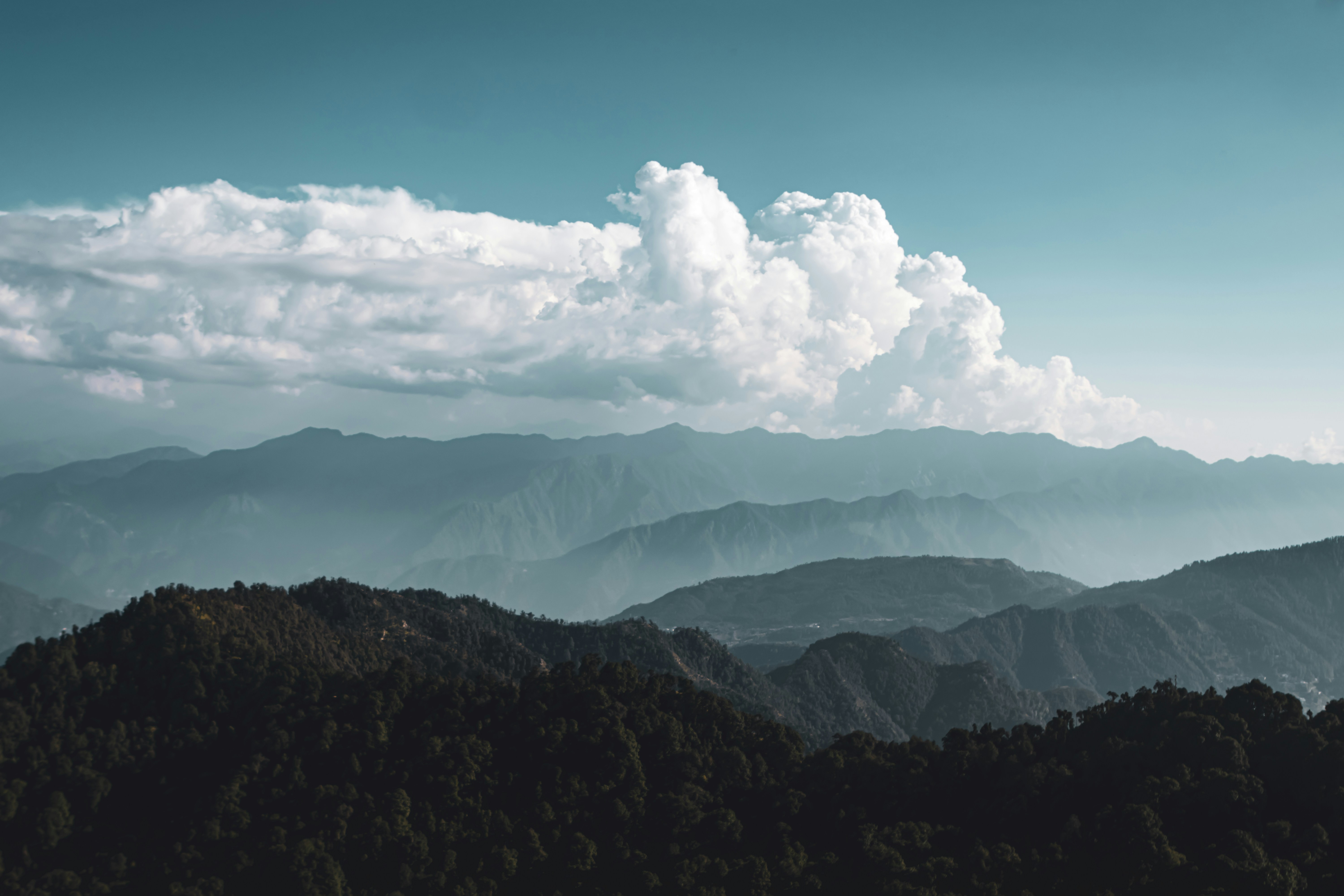 Photo by manishmishra211