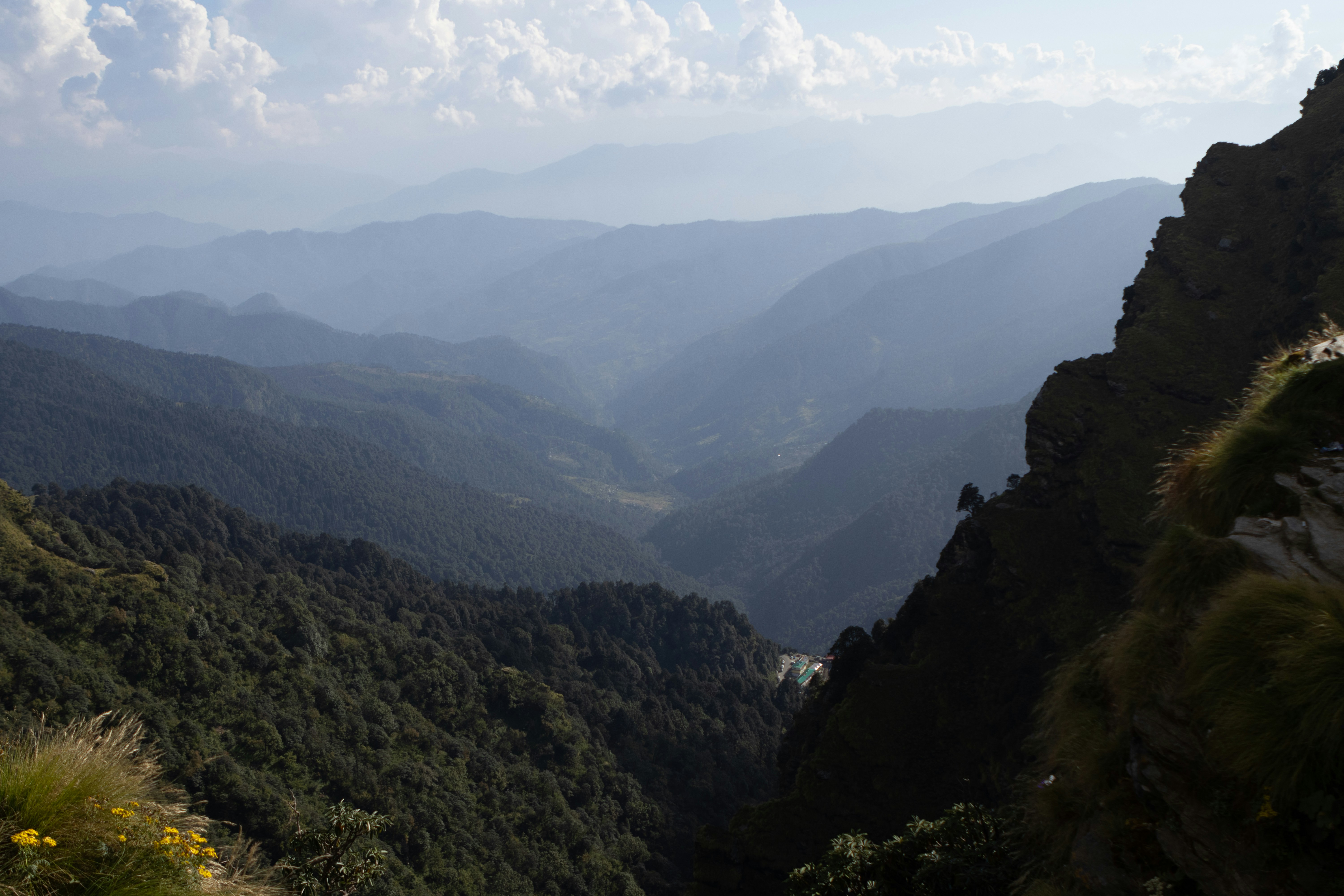 Photo by manishmishra211