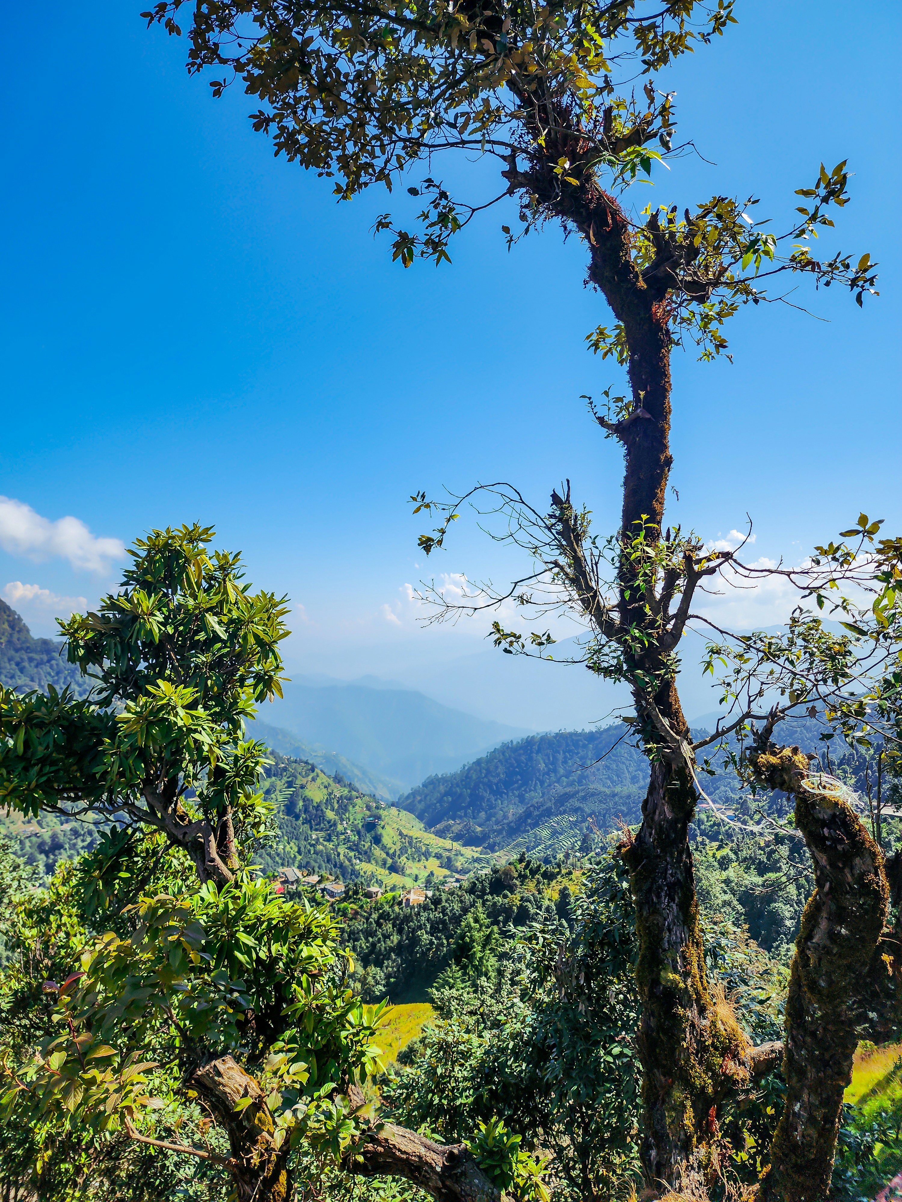 Photo by manishmishra211