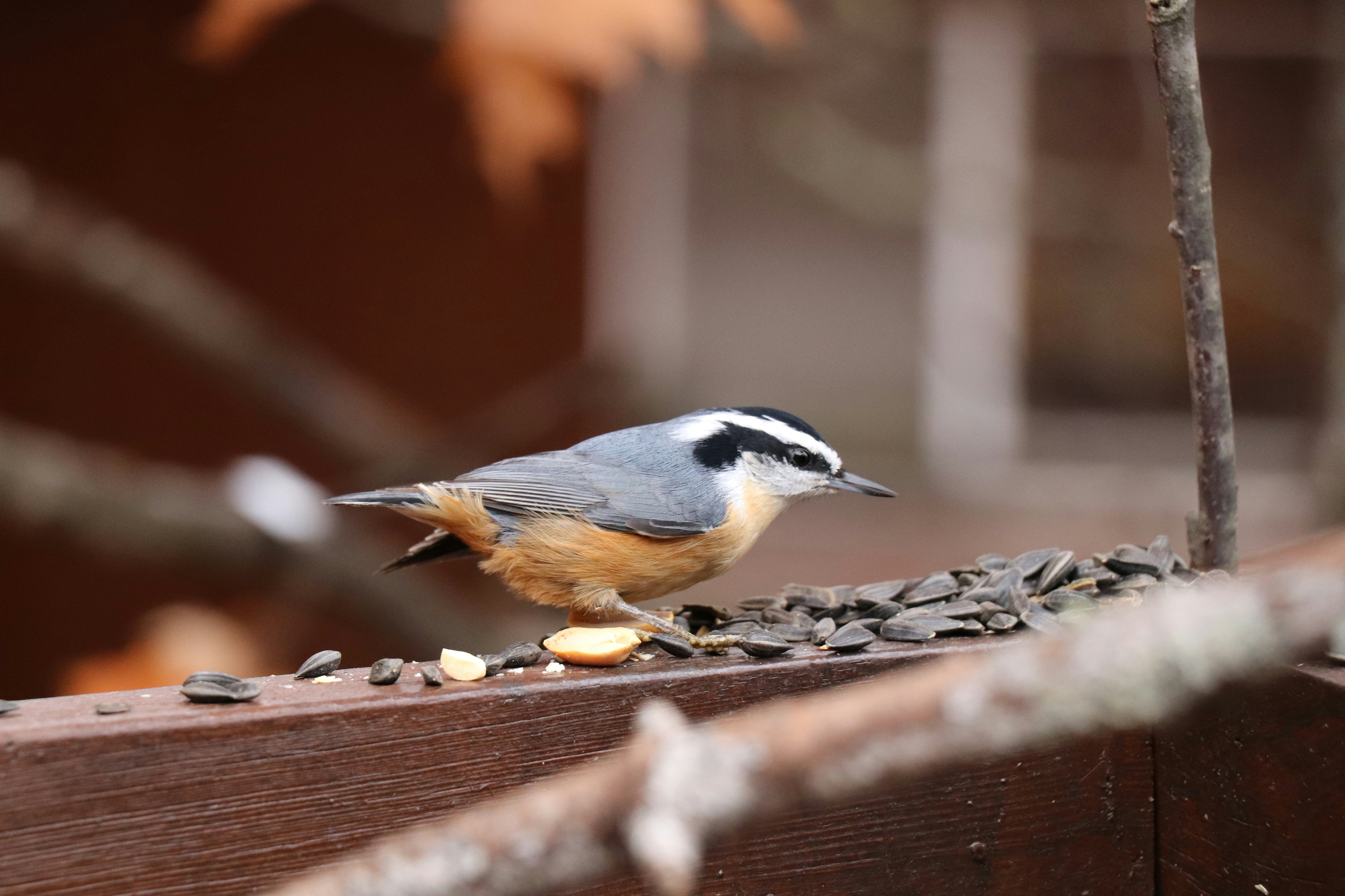 Photo by sandimagerart