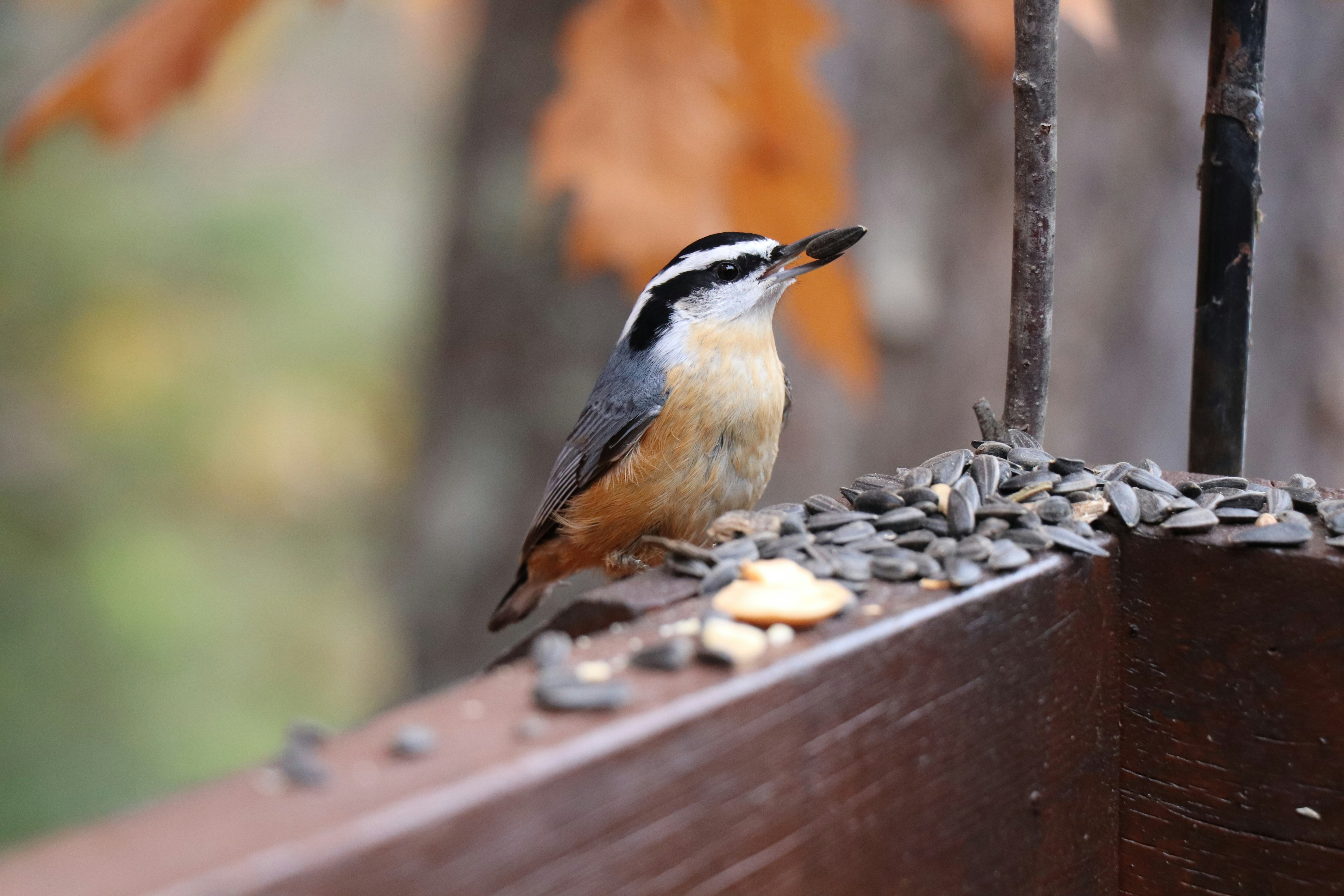 Photo by sandimagerart