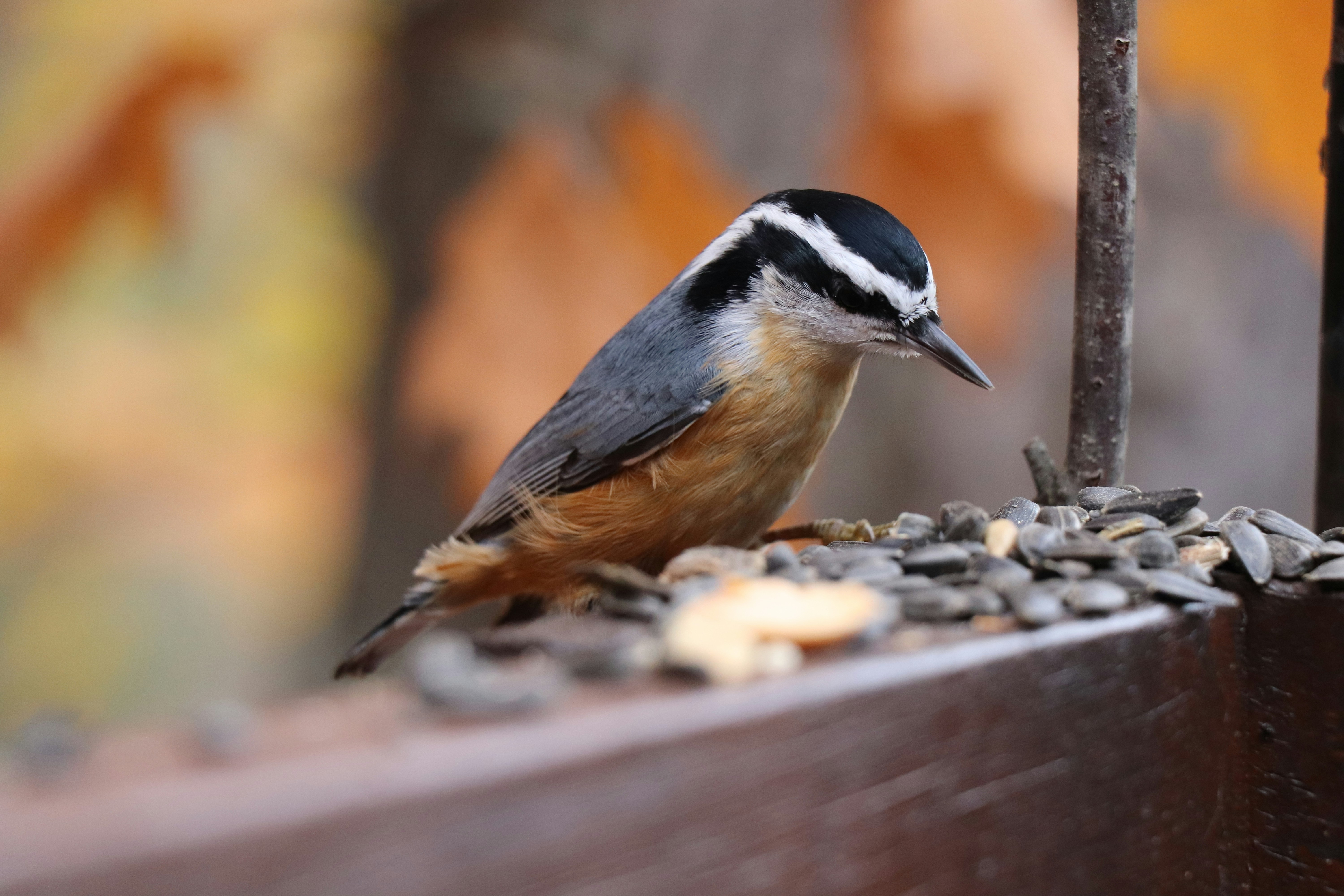 Photo by sandimagerart