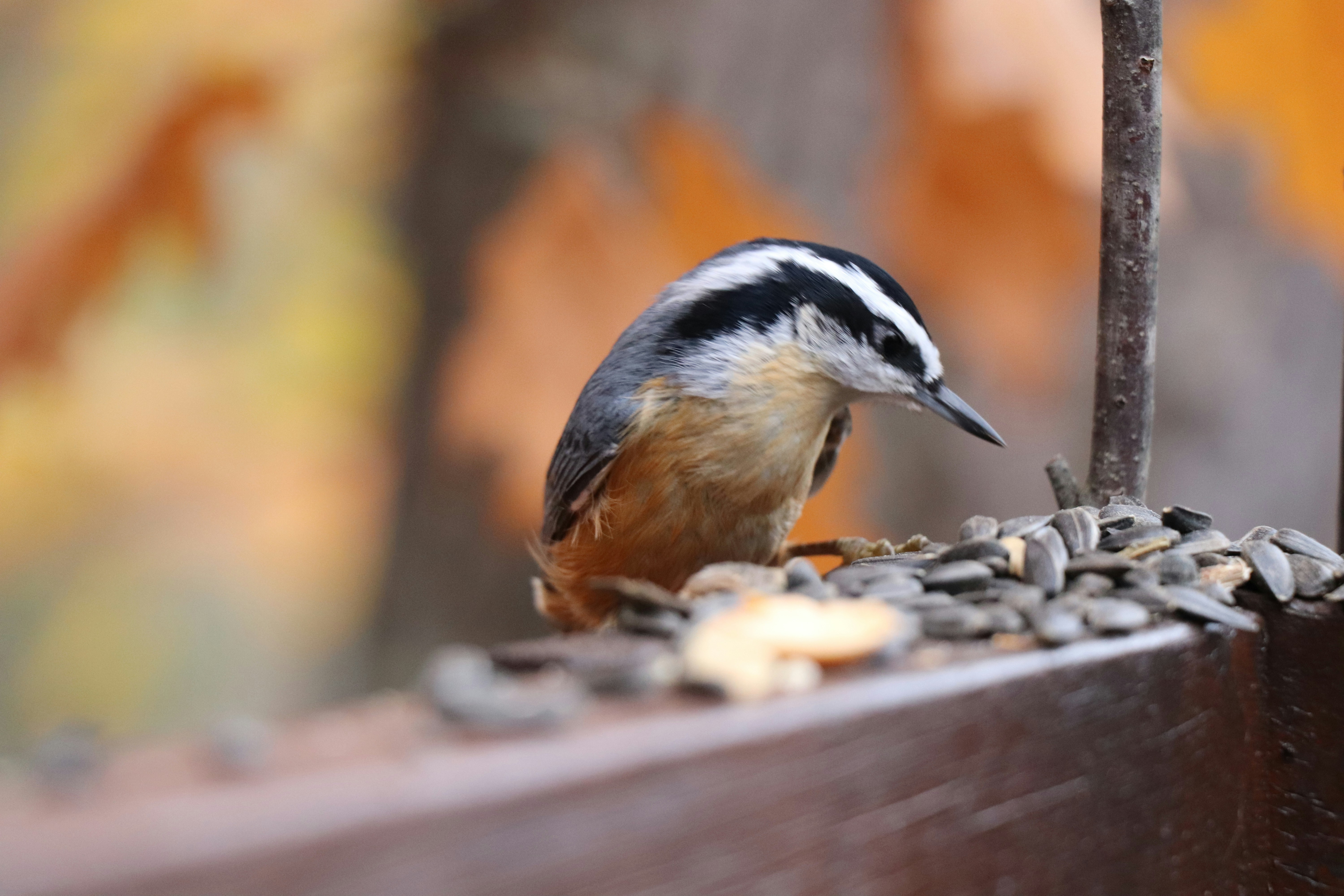 Photo by sandimagerart