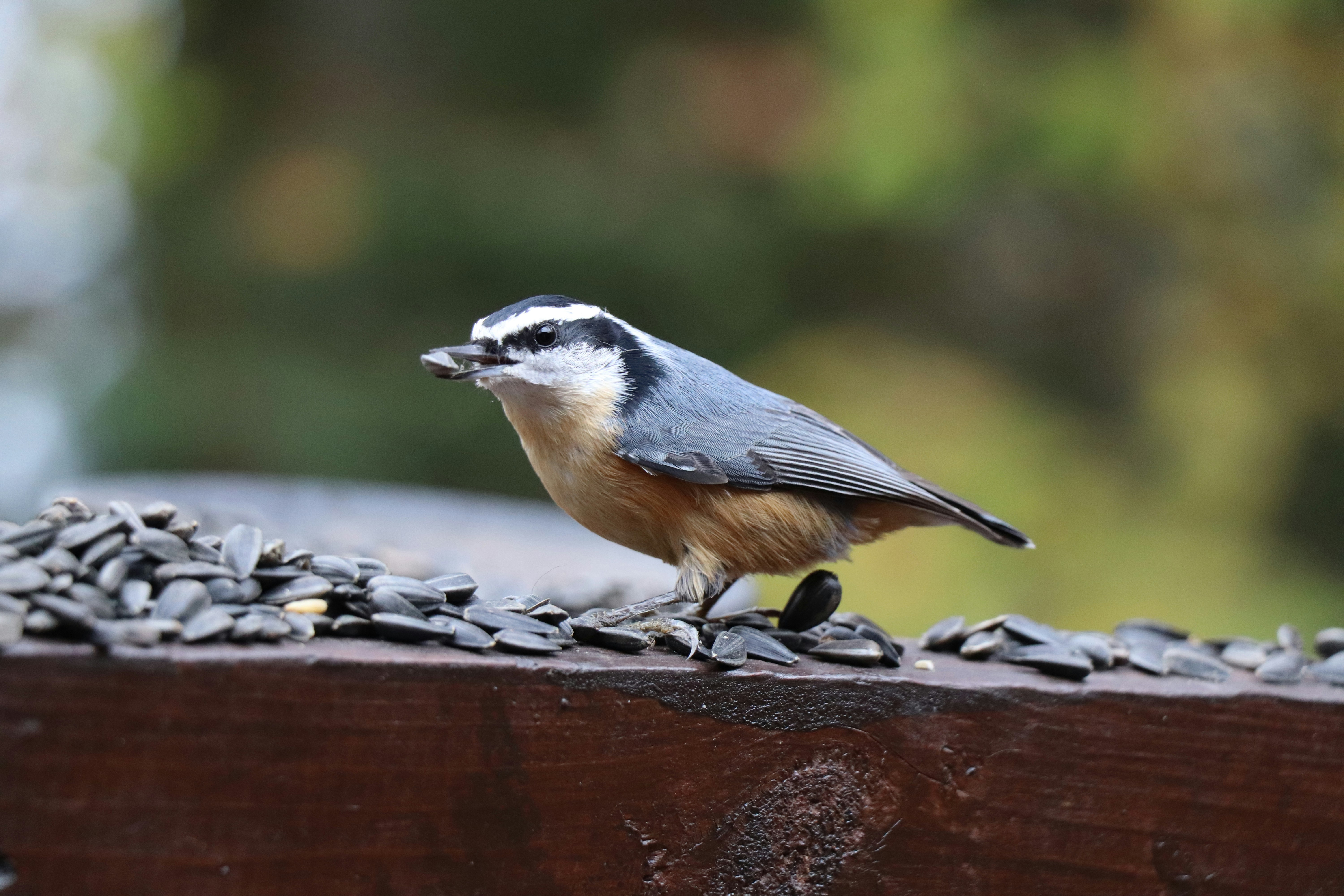 Photo by sandimagerart