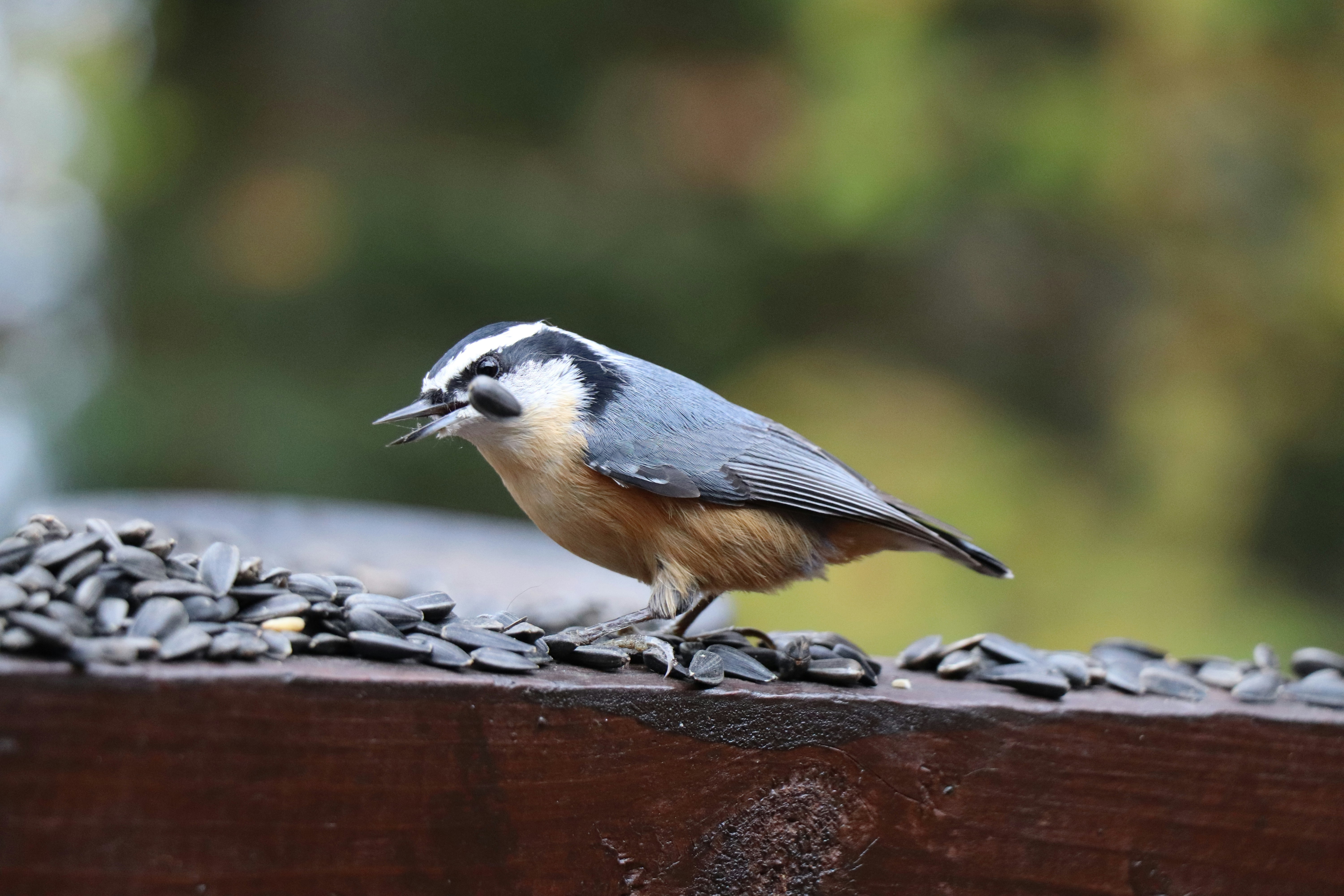 Photo by sandimagerart