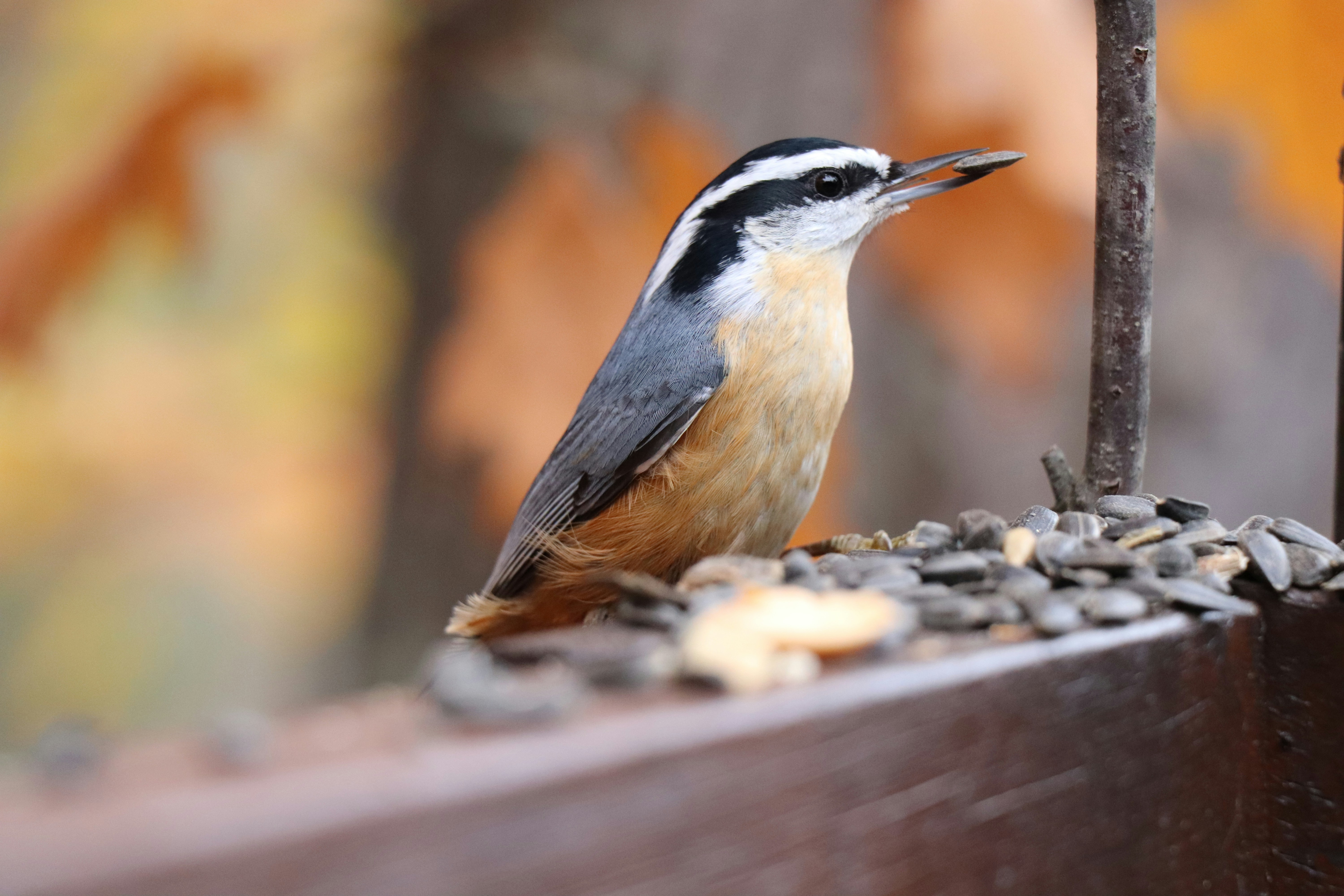 Photo by sandimagerart