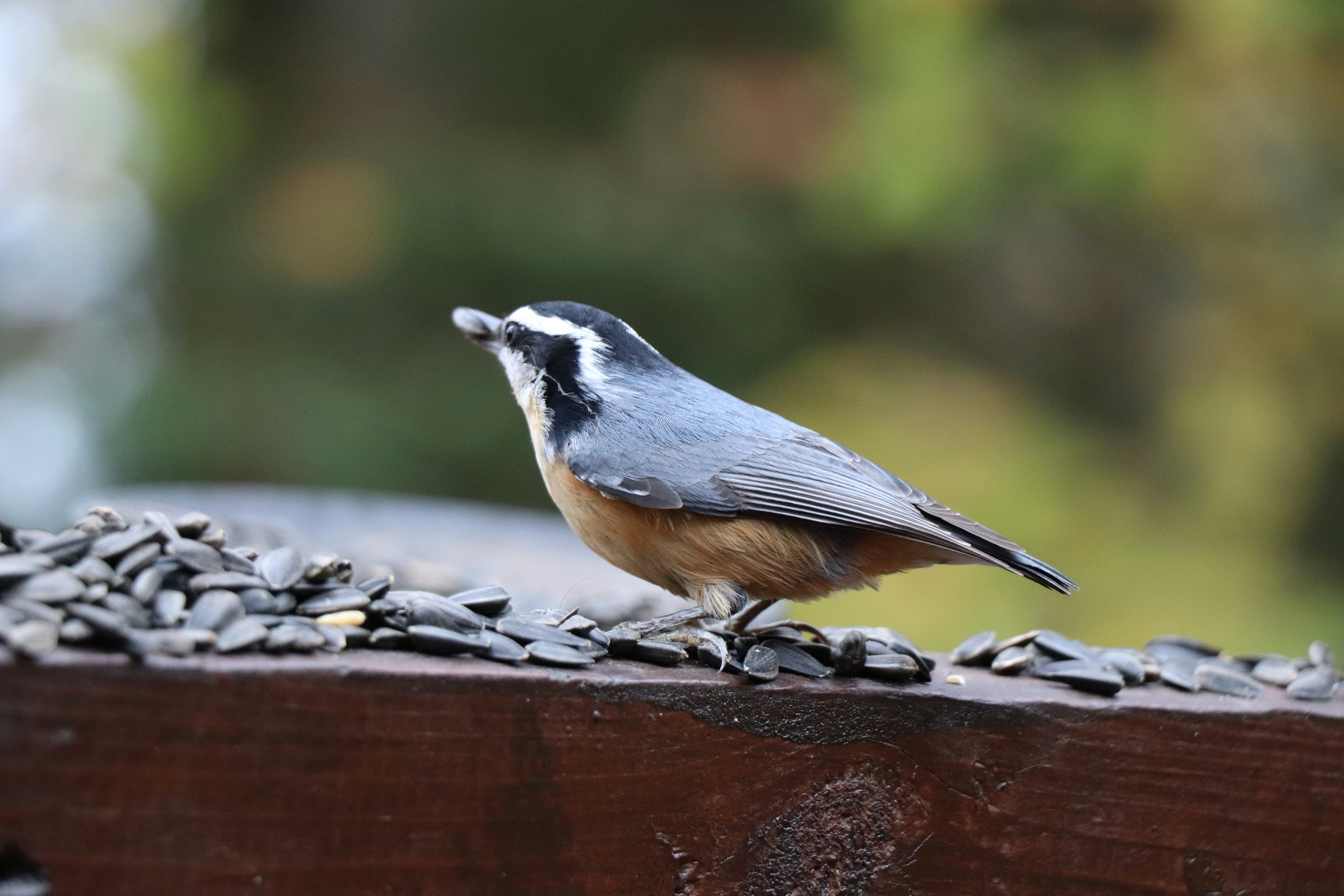 Photo by sandimagerart