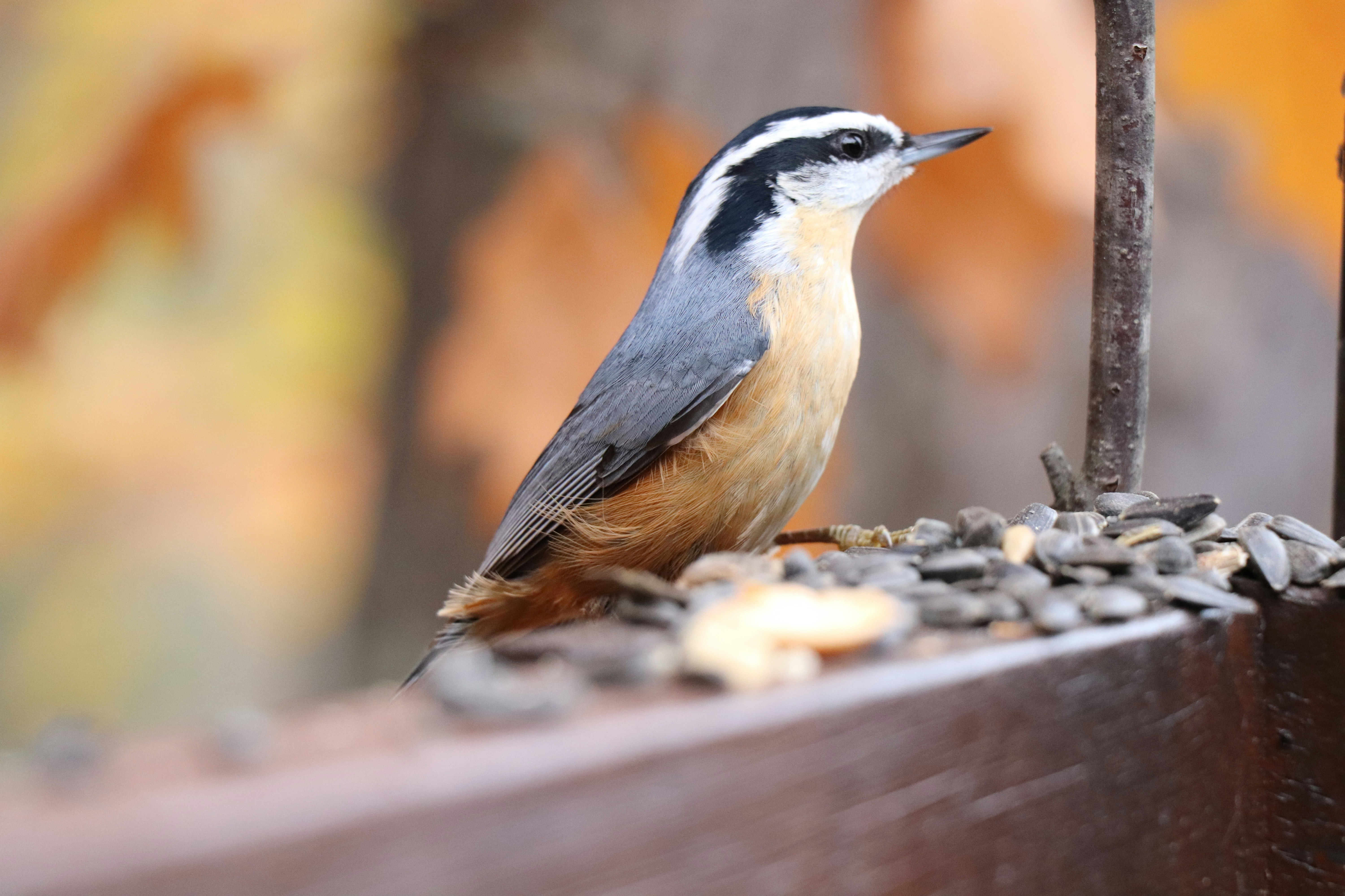 Photo by sandimagerart