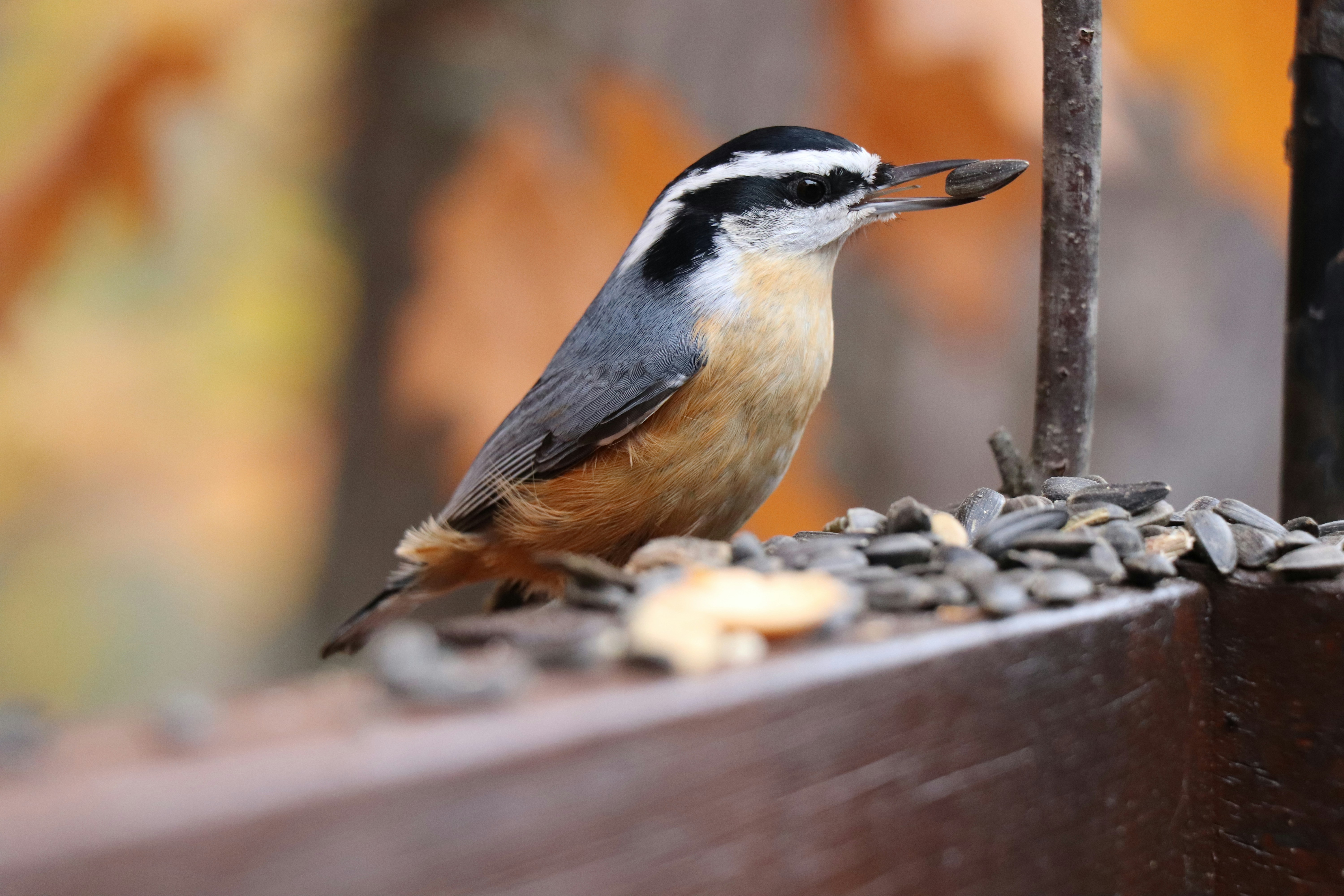 Photo by sandimagerart