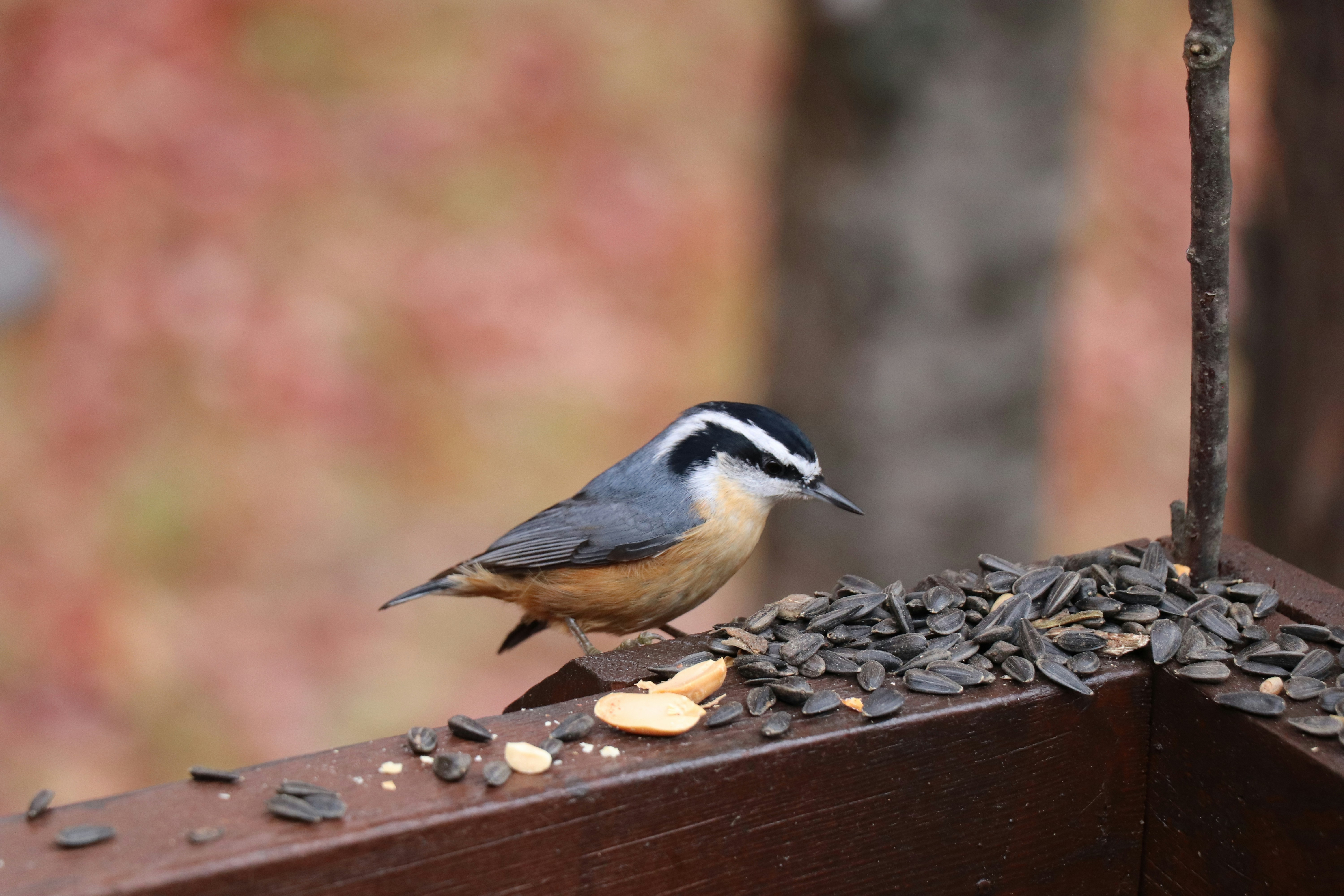 Photo by sandimagerart