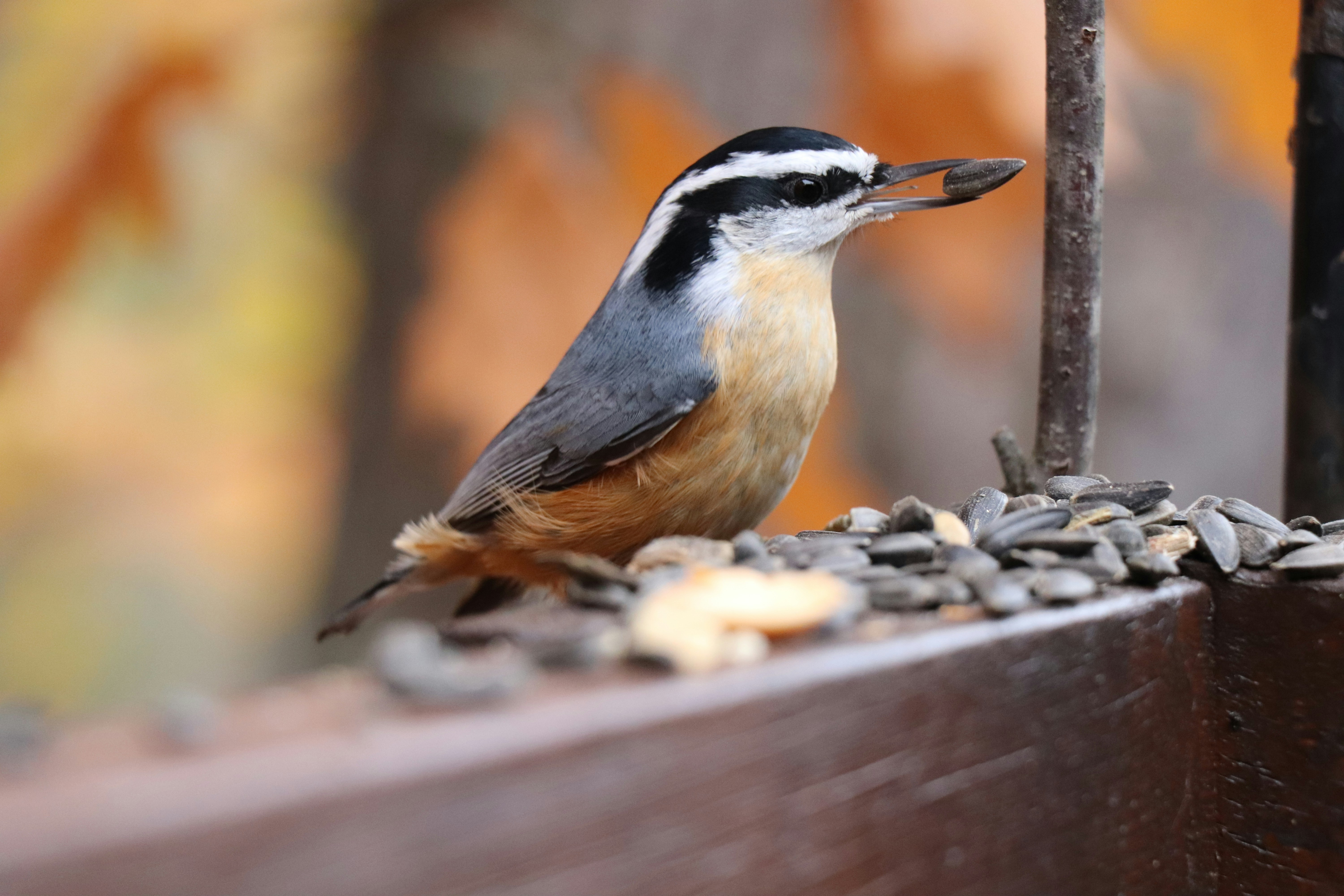 Photo by sandimagerart