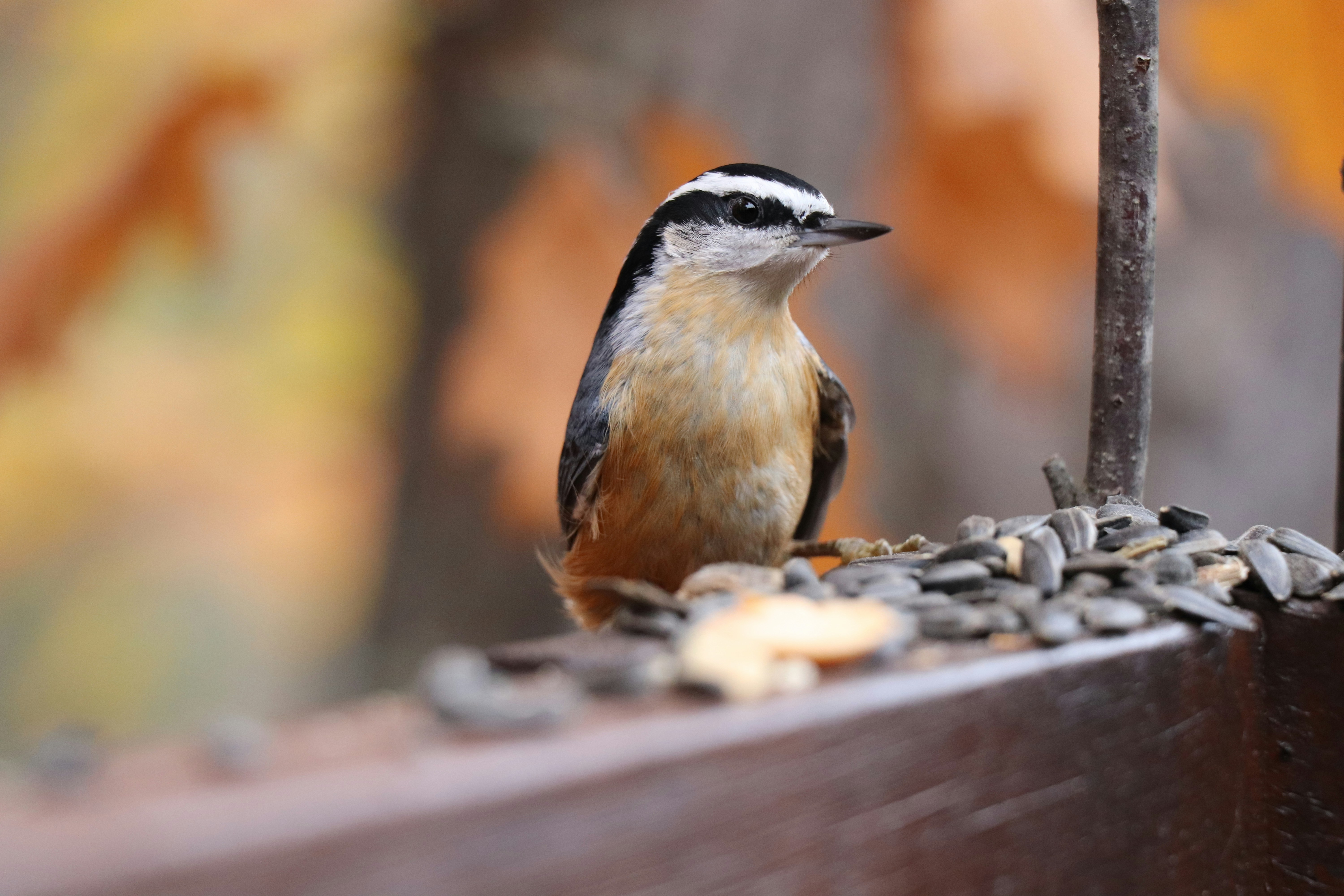 Photo by sandimagerart