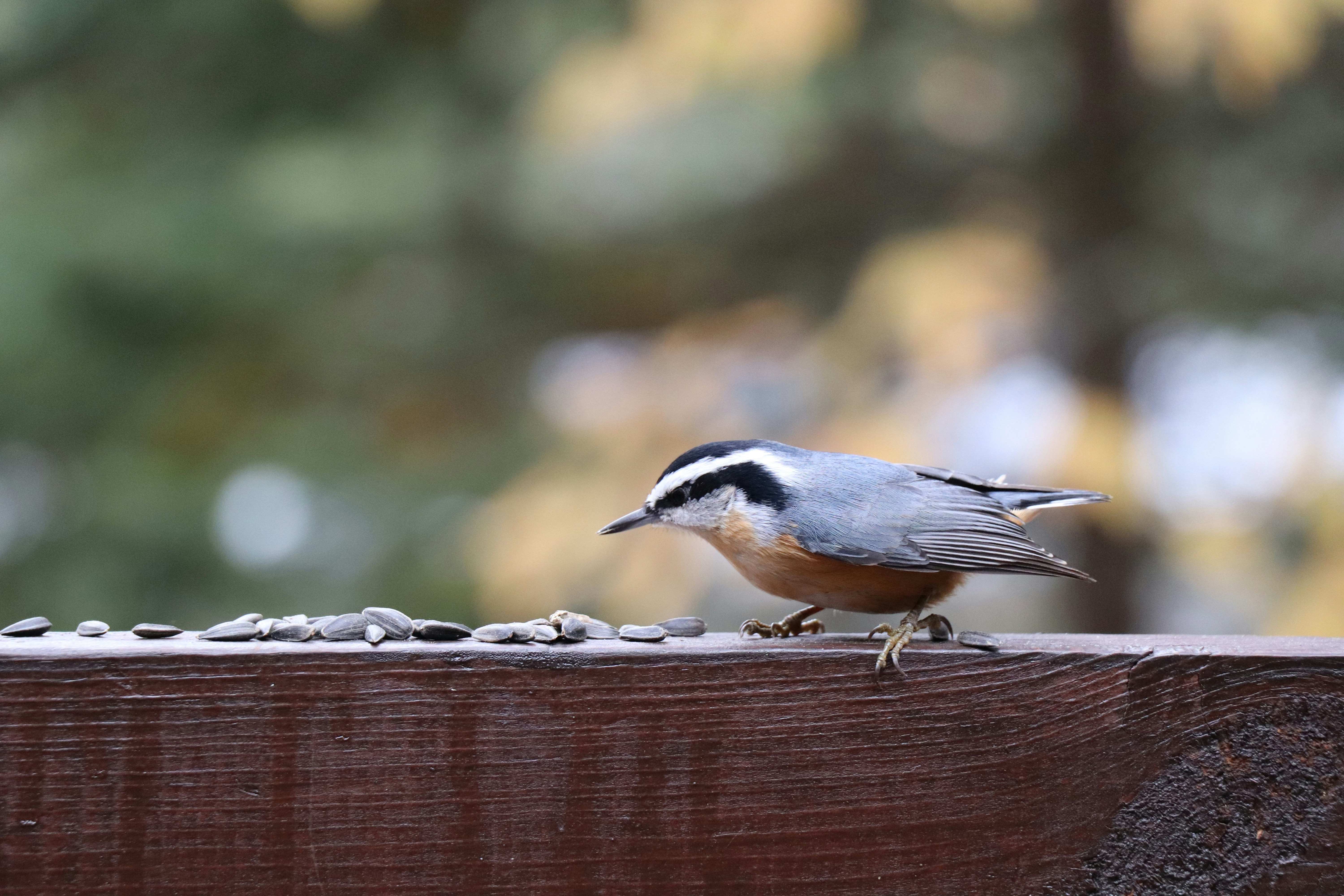 Photo by sandimagerart