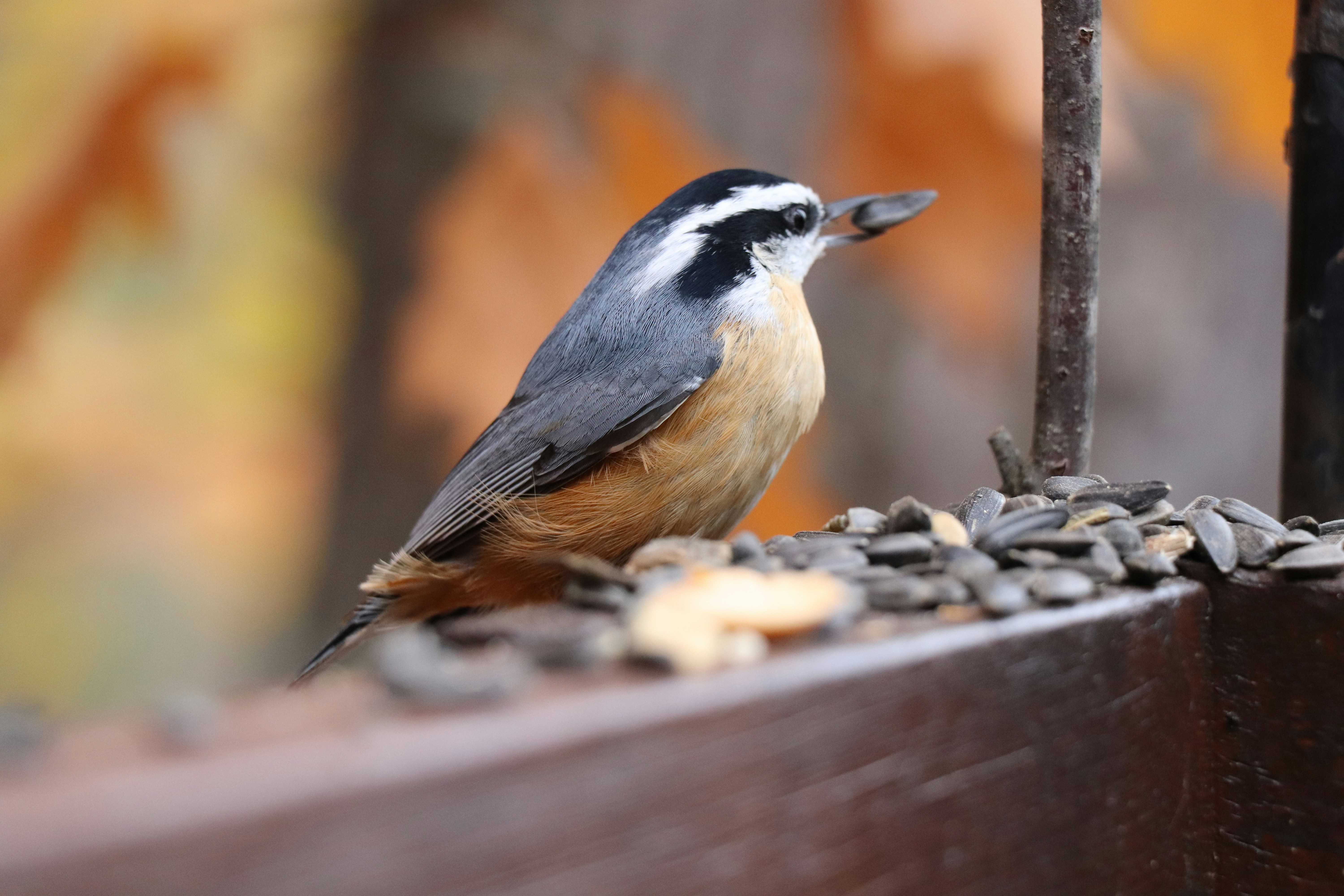 Photo by sandimagerart