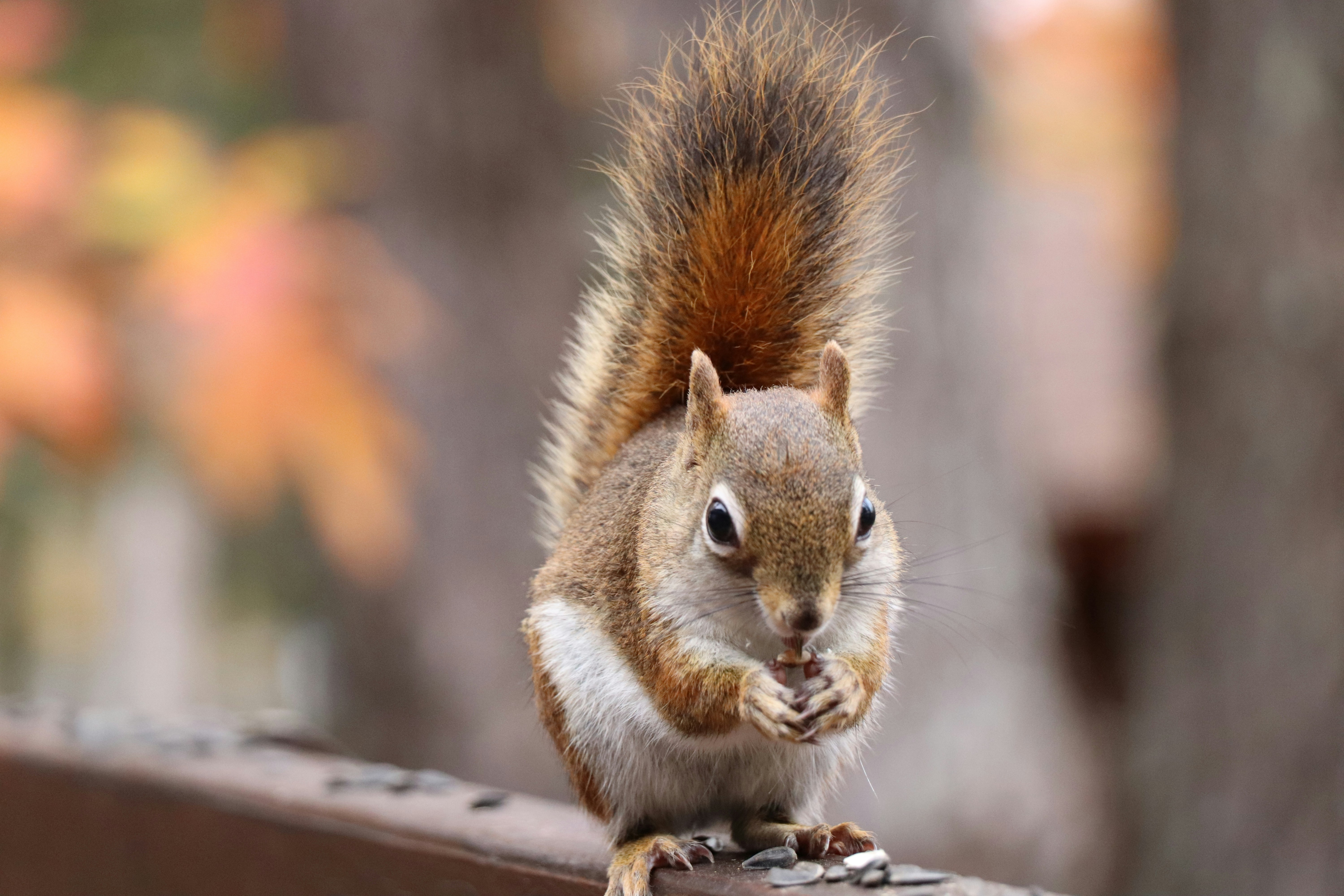 Photo by sandimagerart