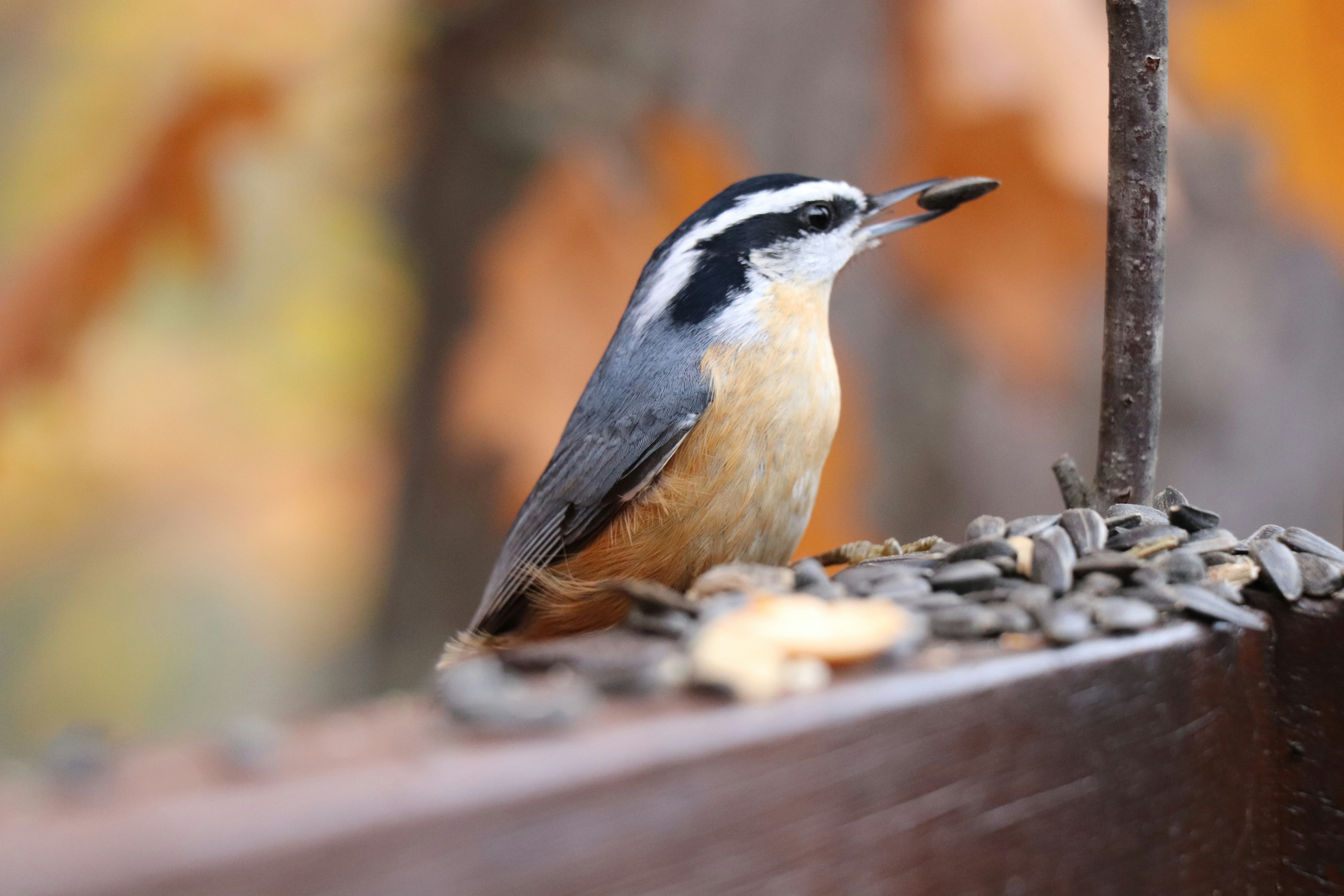 Photo by sandimagerart