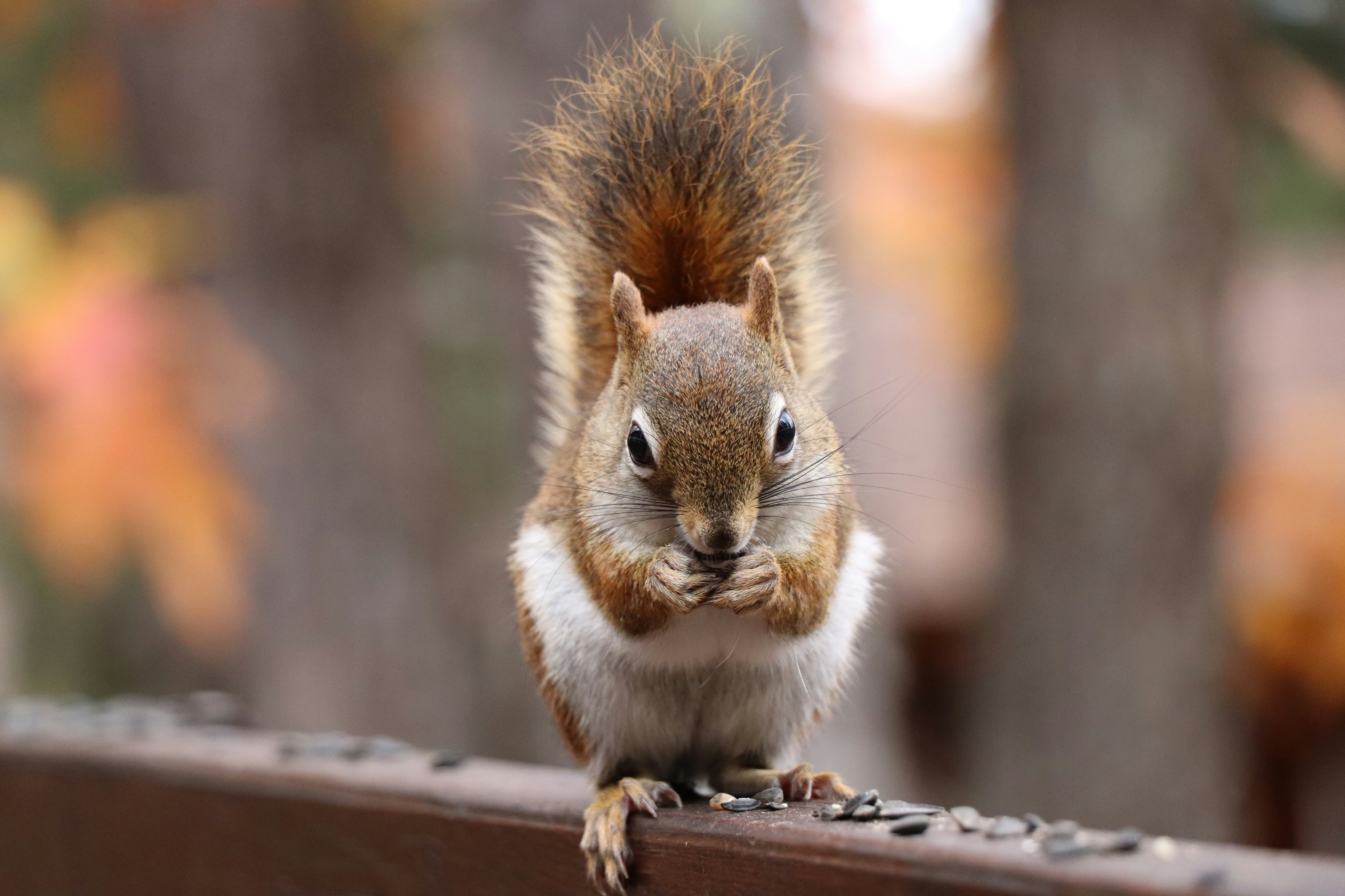 Photo by sandimagerart