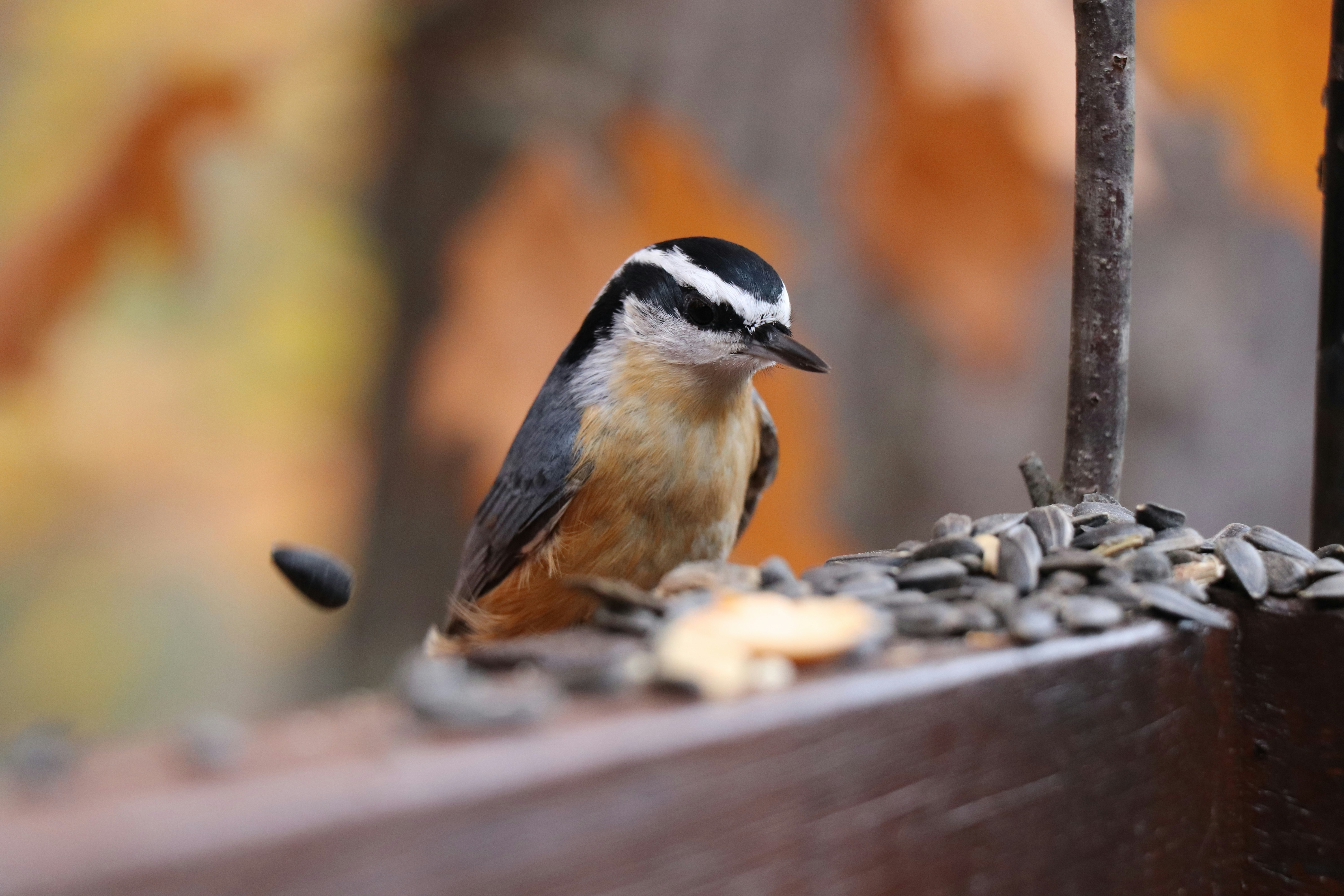 Photo by sandimagerart