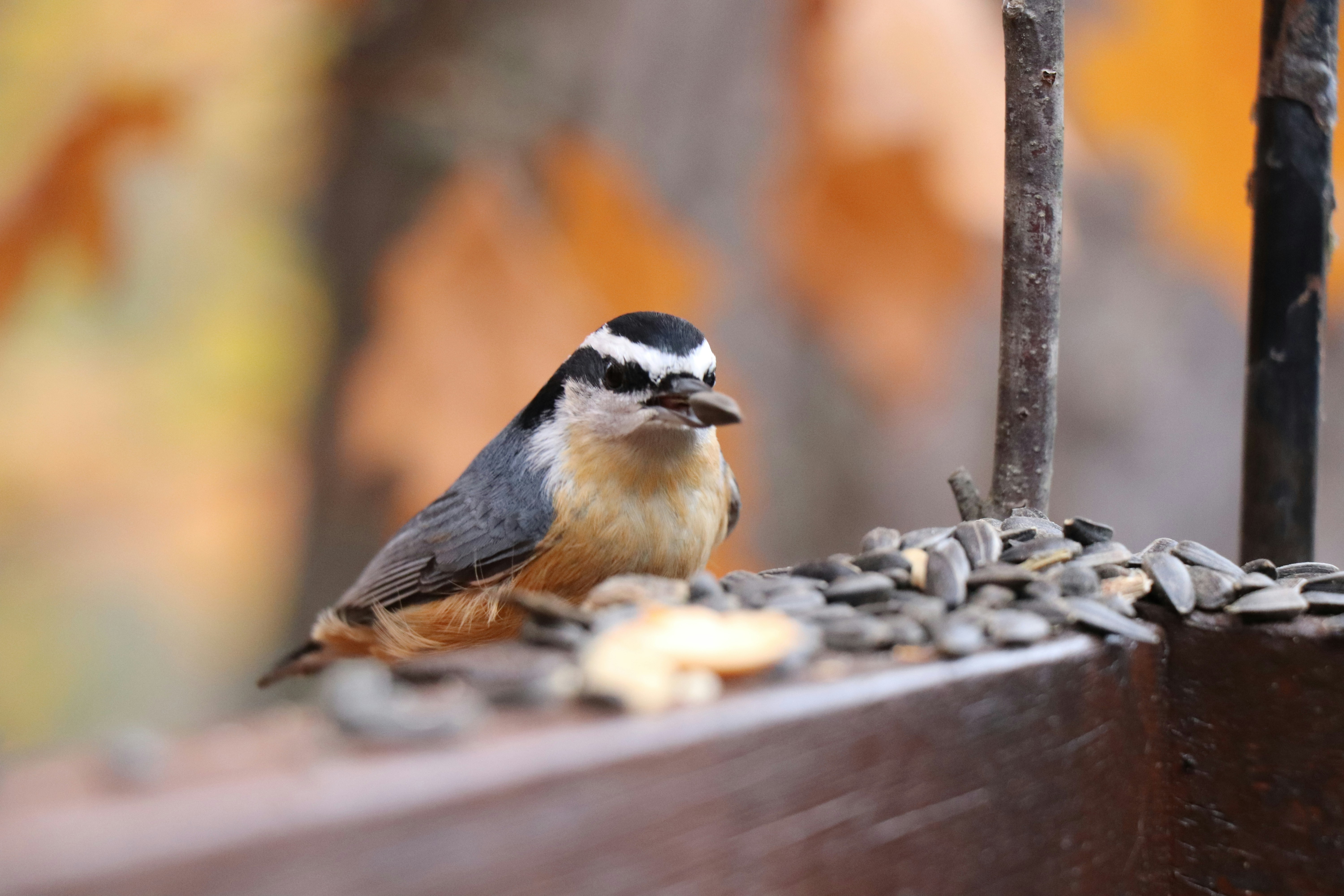 Photo by sandimagerart