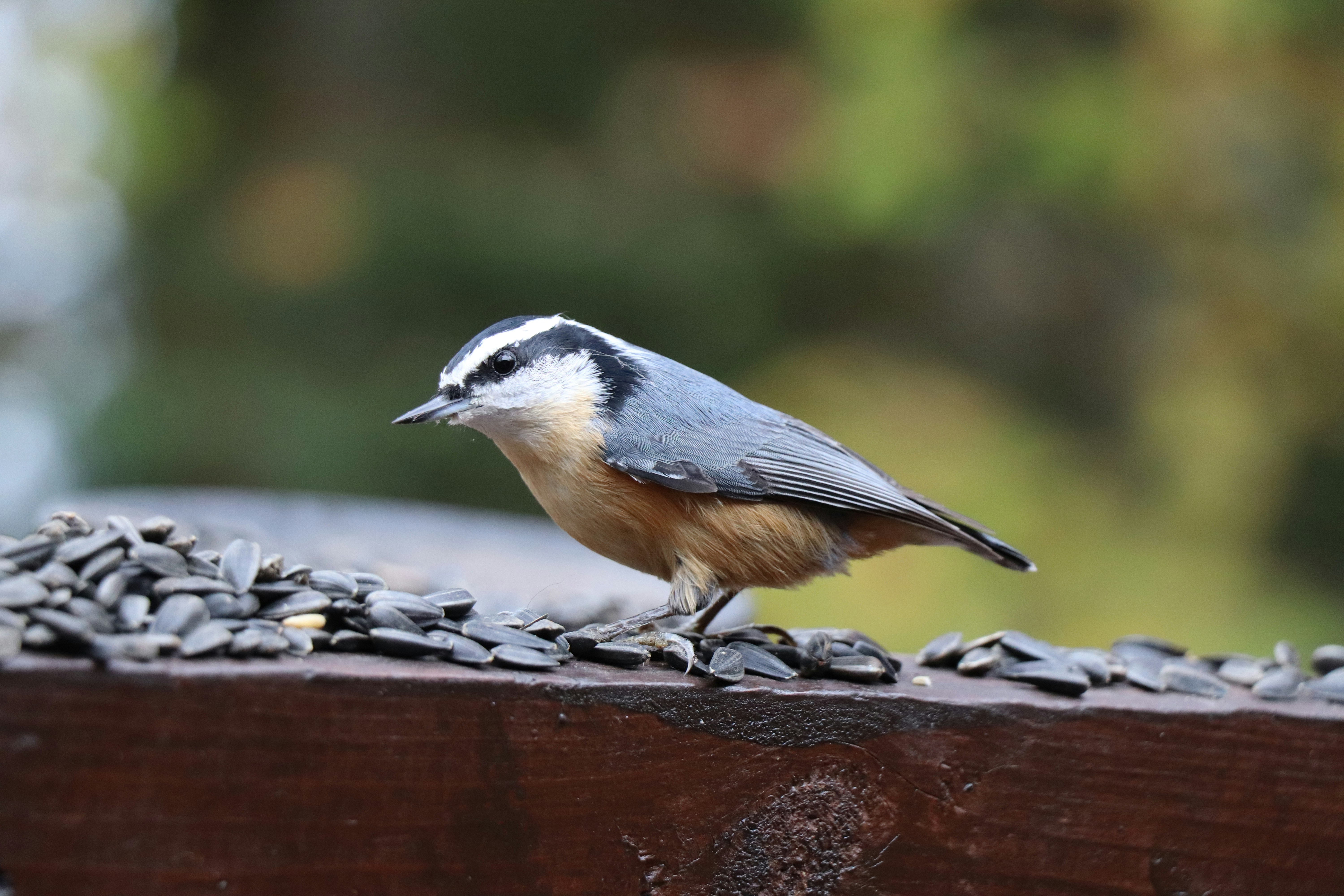 Photo by sandimagerart